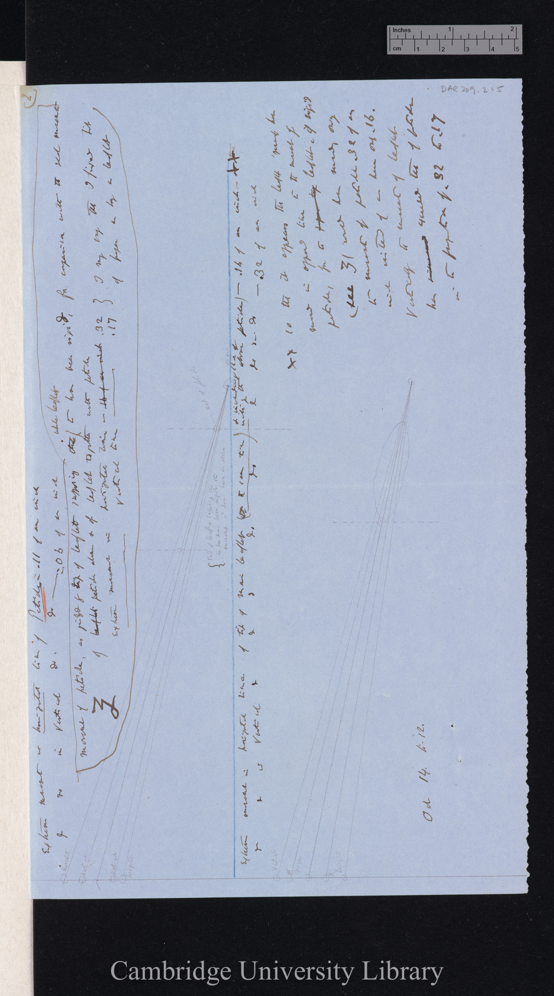 Desmodium [gyrans?] [with diagrams]