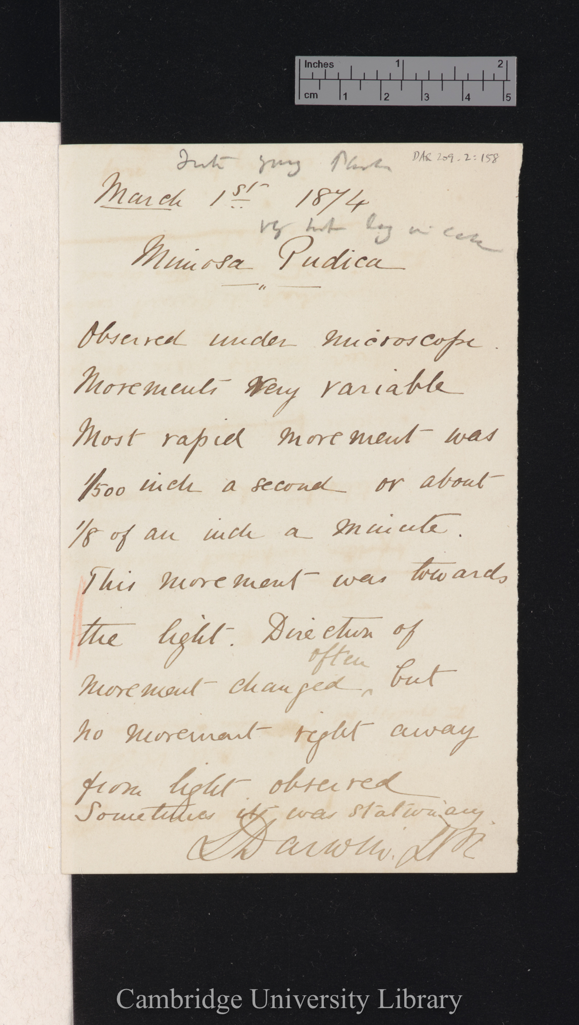 Letter from Leonard Darwin to Charles Robert Darwin; written at [place unstated]