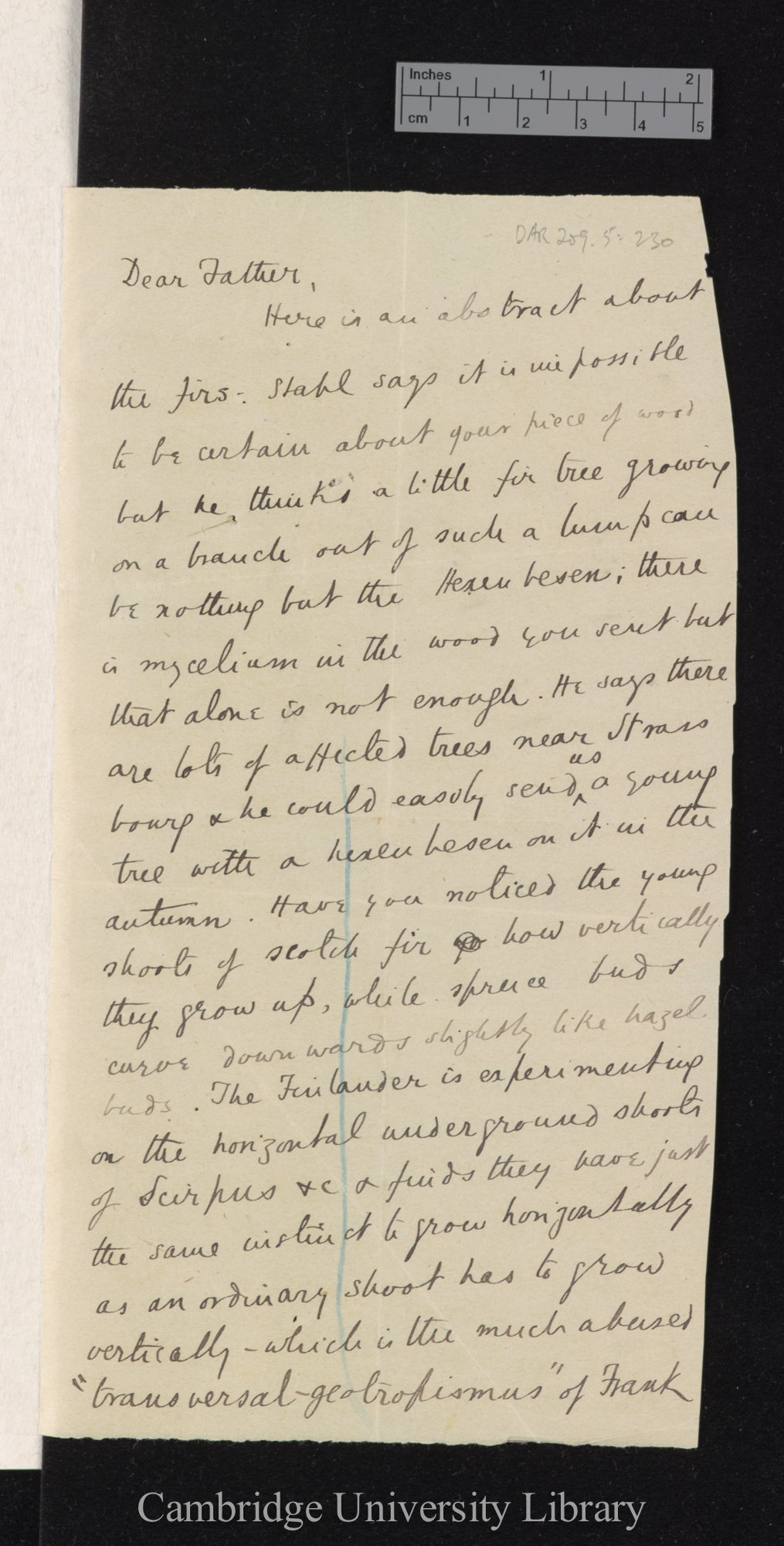 Sir Francis Darwin to Charles Robert Darwin