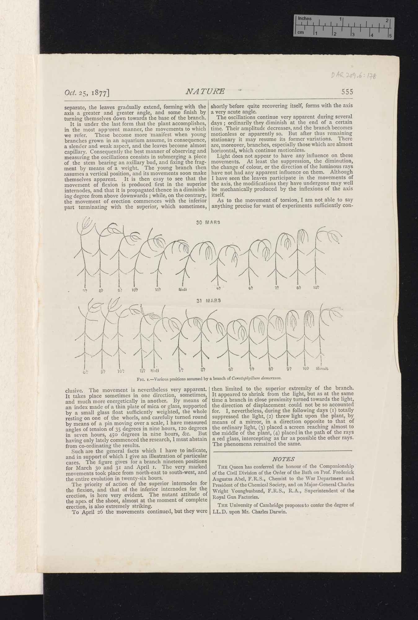 The movements of a submerged aquatic plant &#39;Nature&#39;: 555