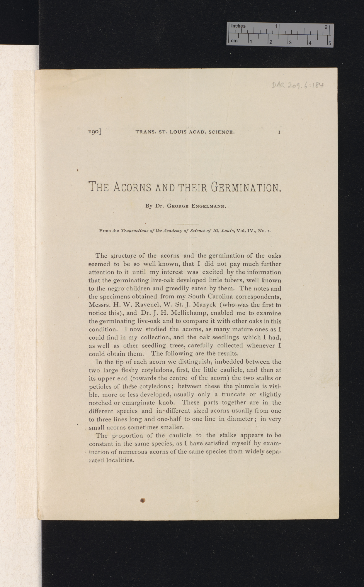 The acorns and their germination &#39;St Louis Academy of Science, transactions&#39; 4: 190