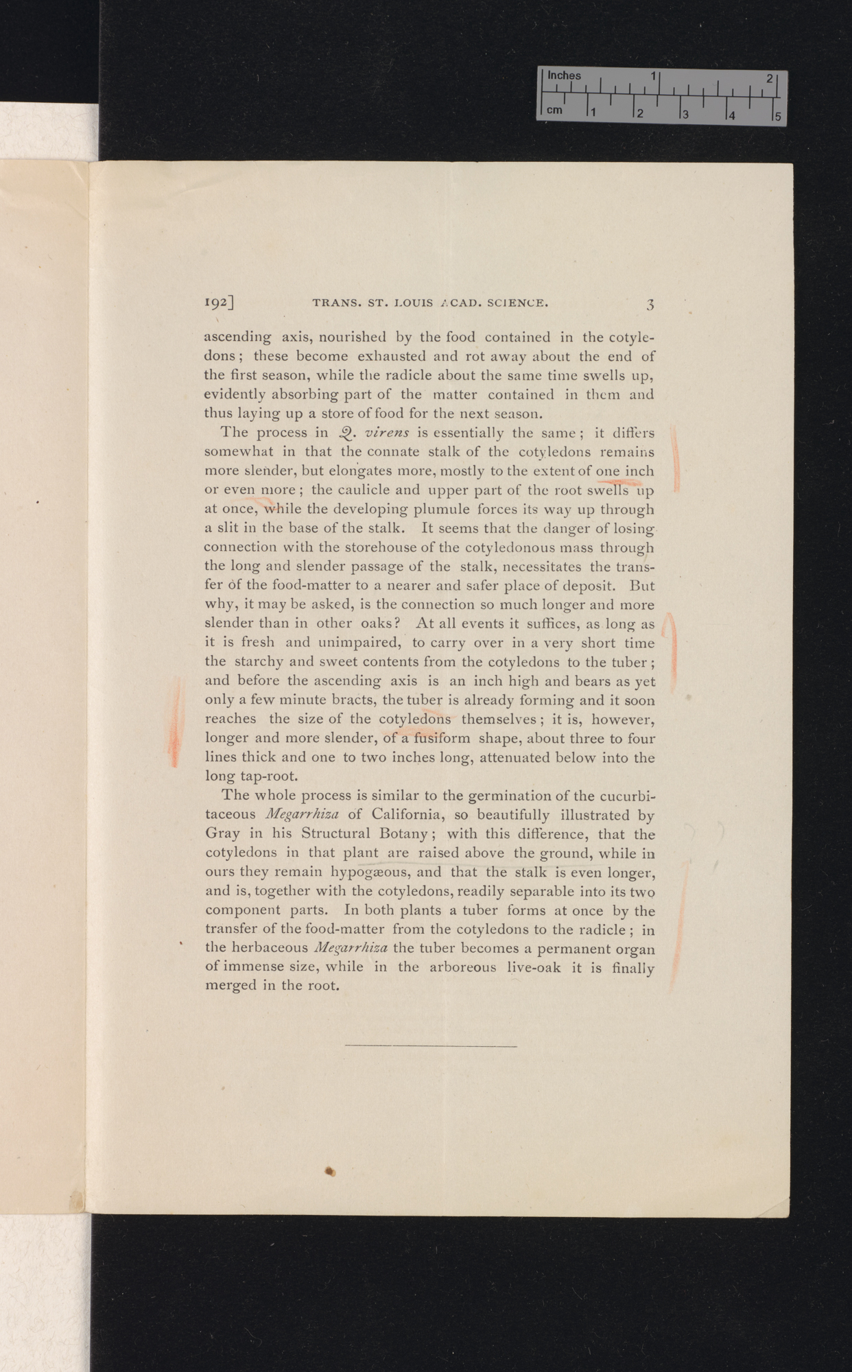 The acorns and their germination &#39;St Louis Academy of Science, transactions&#39; 4: 192