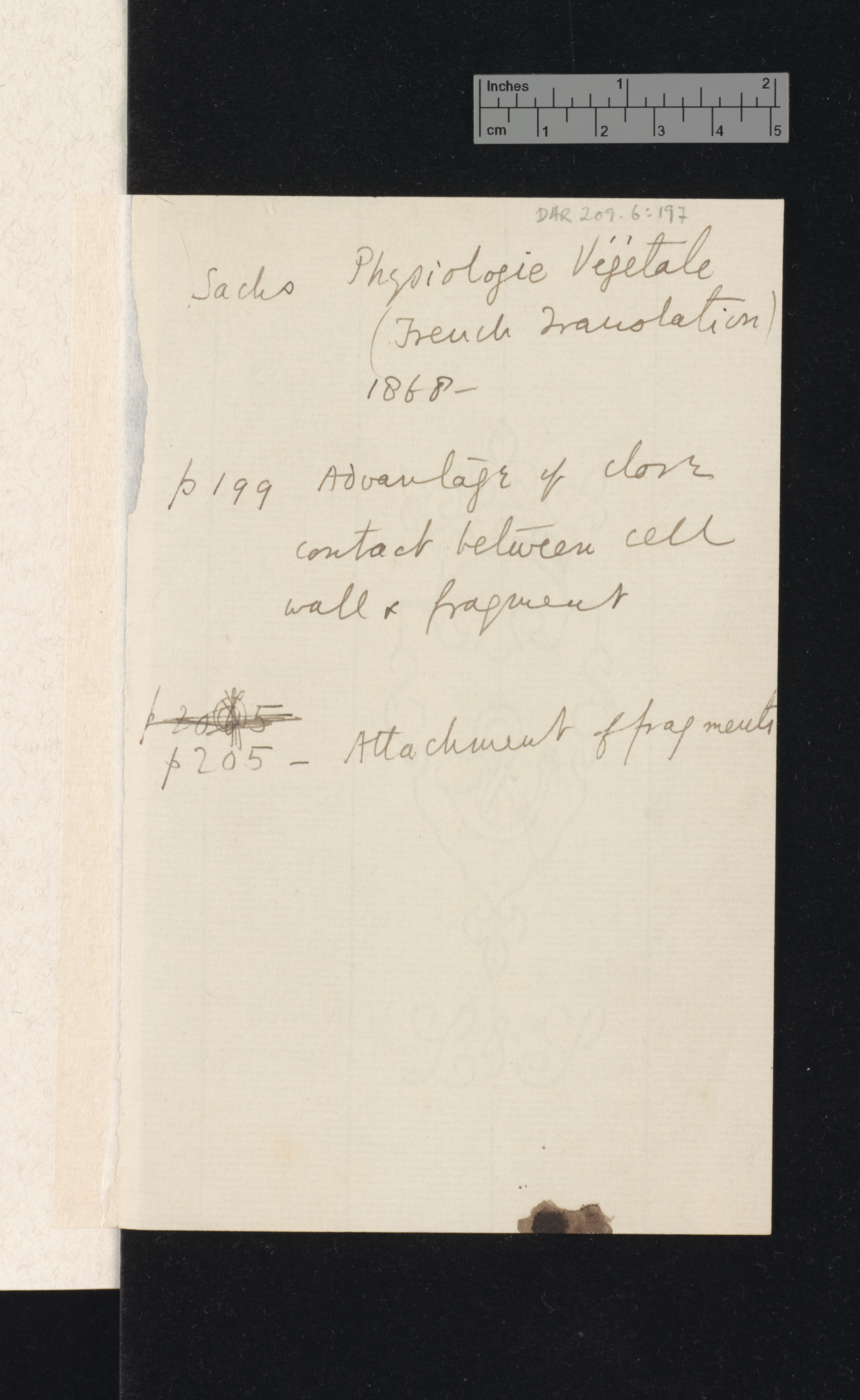 Sachs &#39;Physiologie végétale&#39; 1868: 199, 205