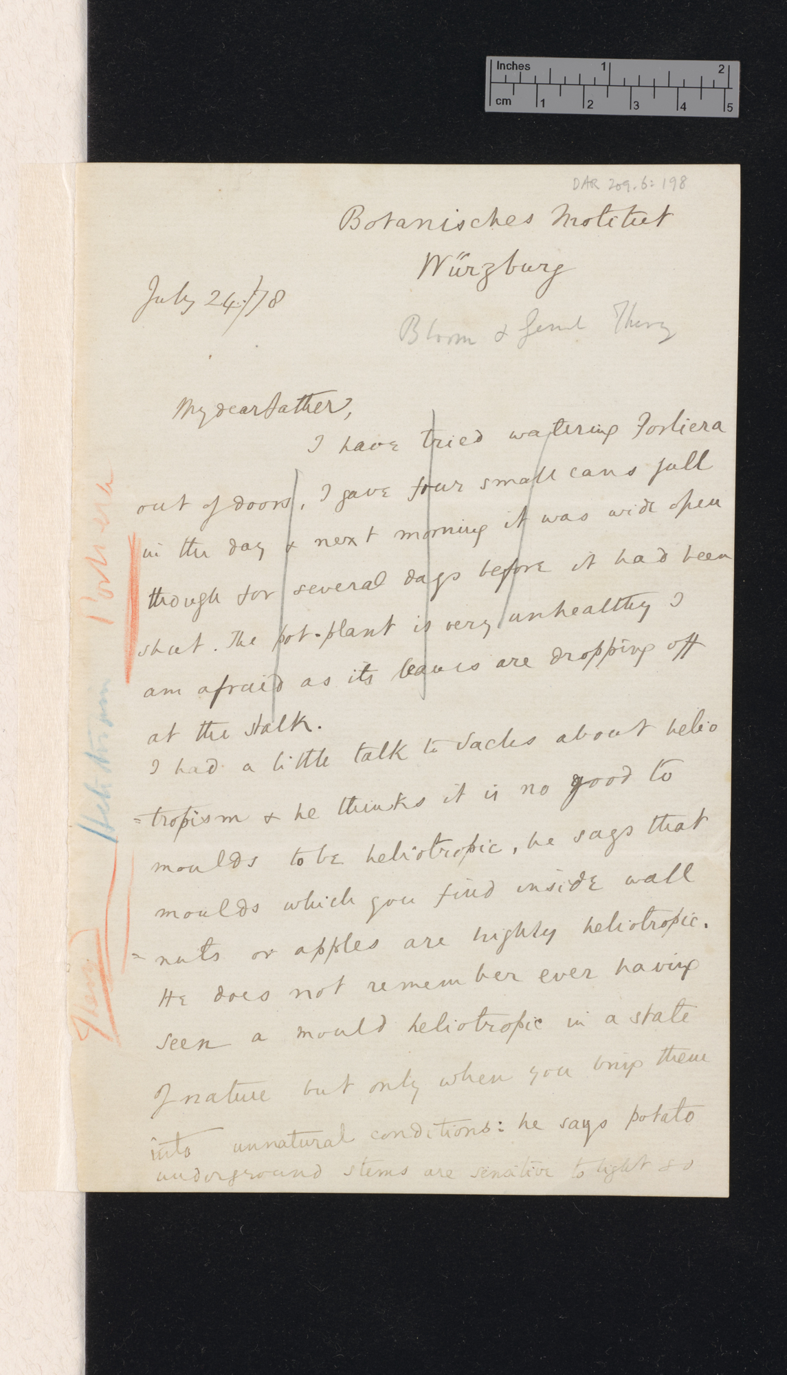 Sir Francis Darwin to Charles Robert Darwin