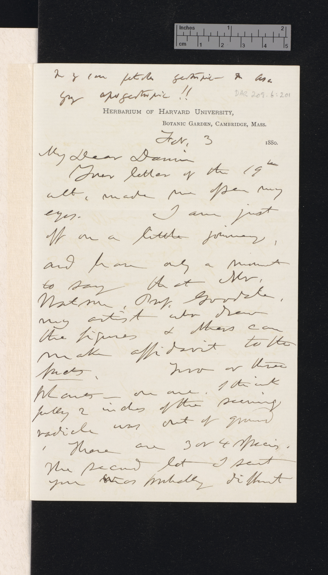 Asa Gray to Charles Robert Darwin