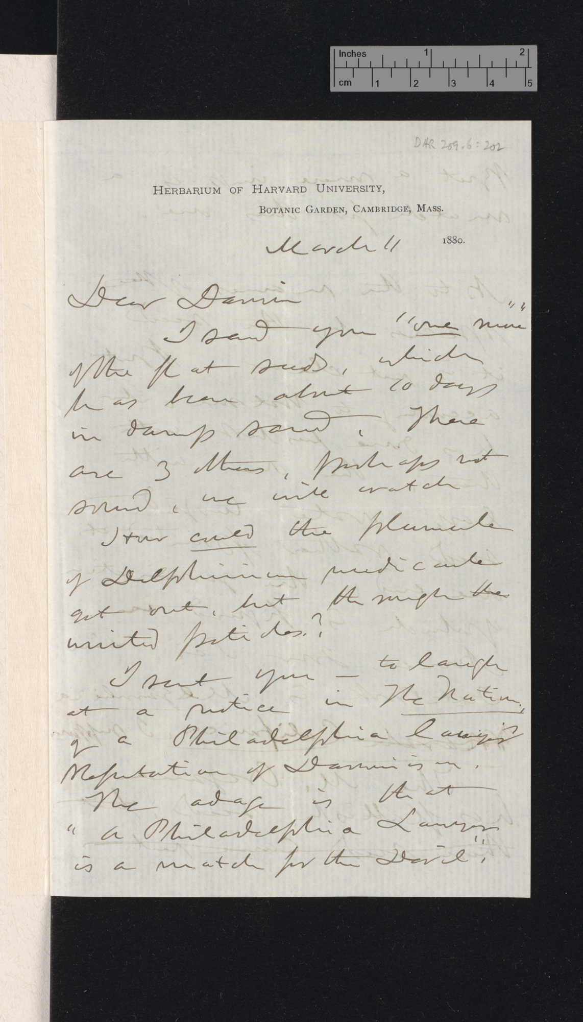 Asa Gray to Charles Robert Darwin