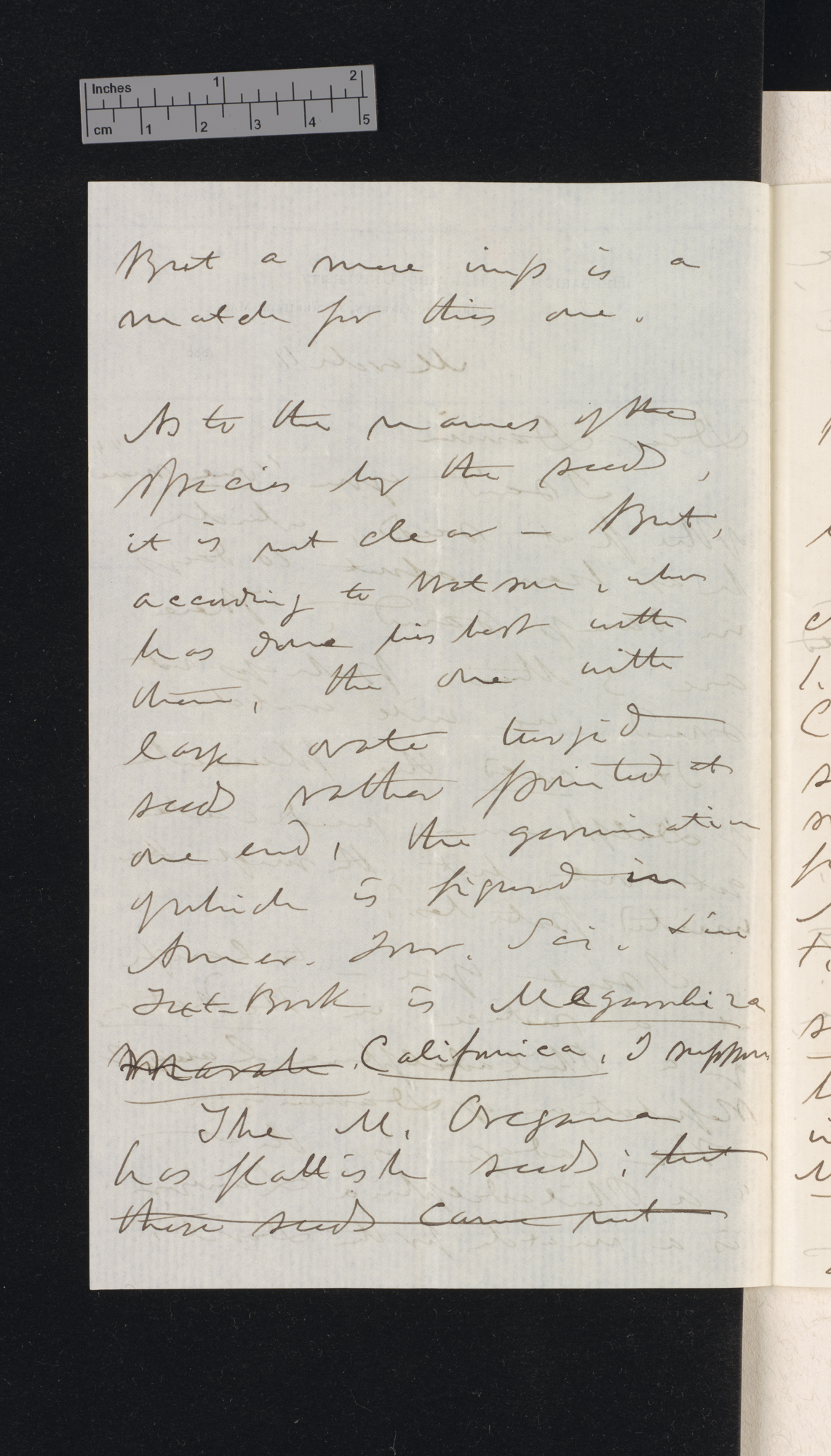 Asa Gray to Charles Robert Darwin