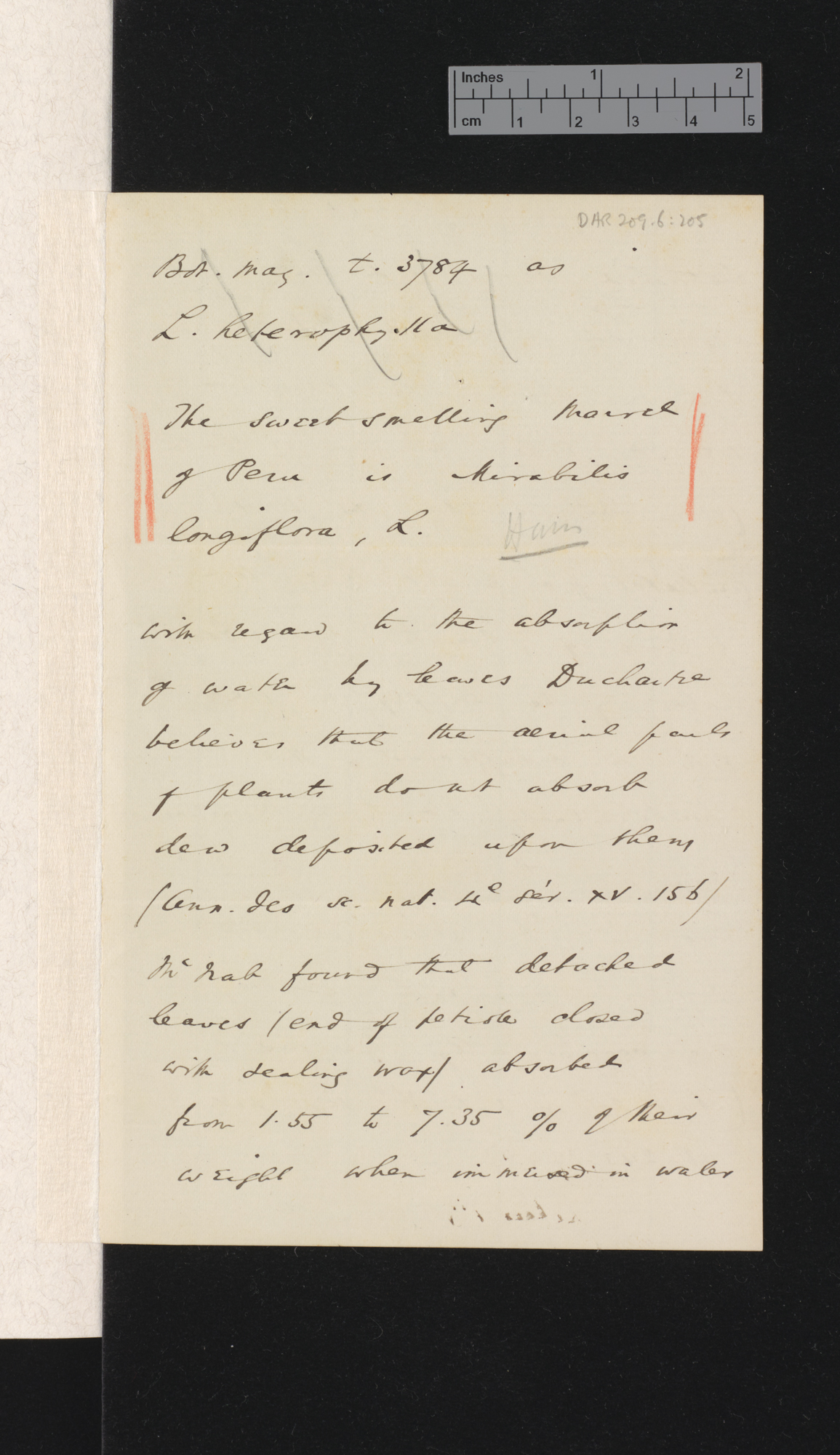 Sir Joseph Dalton Hooker to Charles Robert Darwin