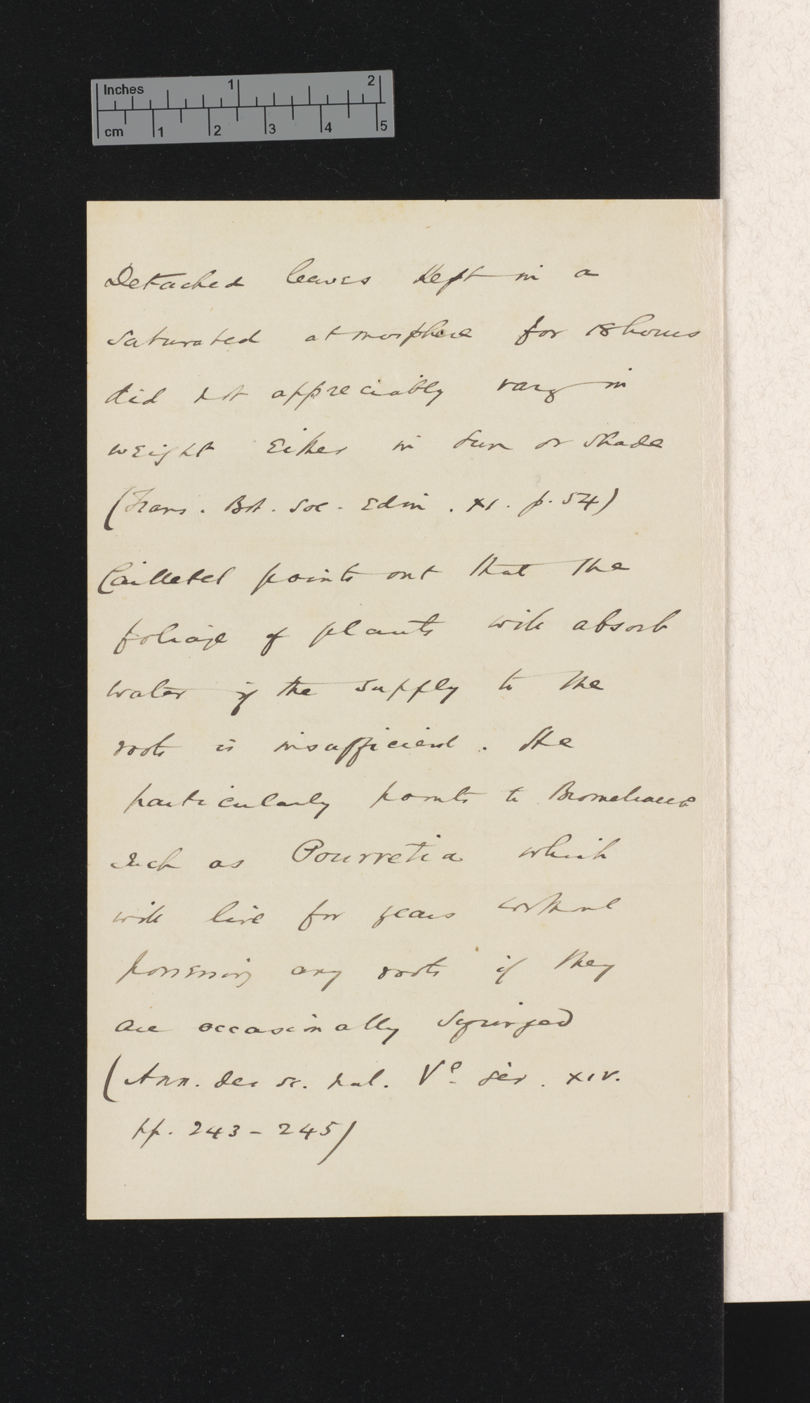 Sir Joseph Dalton Hooker to Charles Robert Darwin