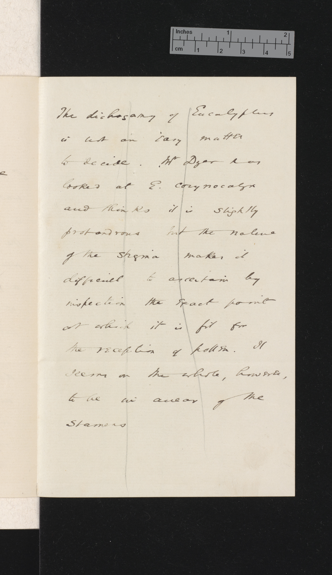 Sir Joseph Dalton Hooker to Charles Robert Darwin