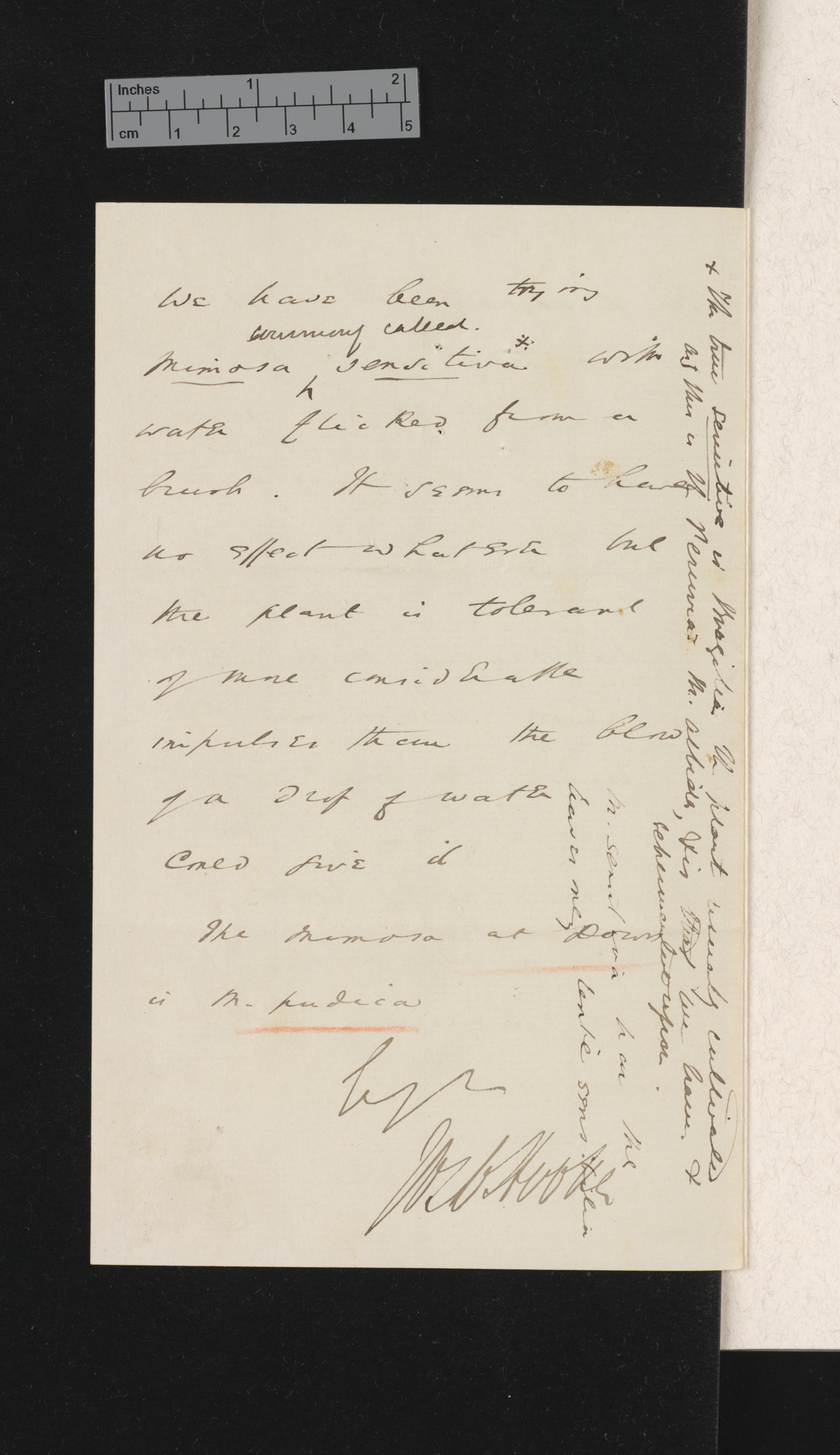 Sir Joseph Dalton Hooker to Charles Robert Darwin