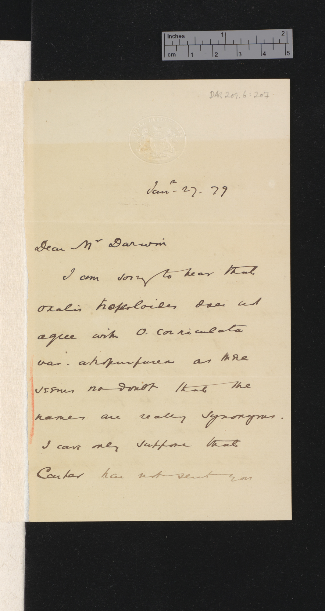 [Sir William Turner Thiselton-Dyer] to Charles Robert Darwin