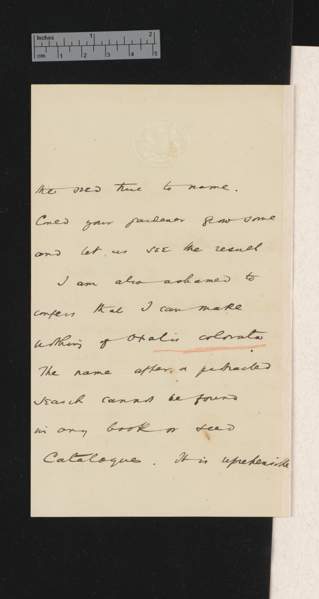 [Sir William Turner Thiselton-Dyer] to Charles Robert Darwin