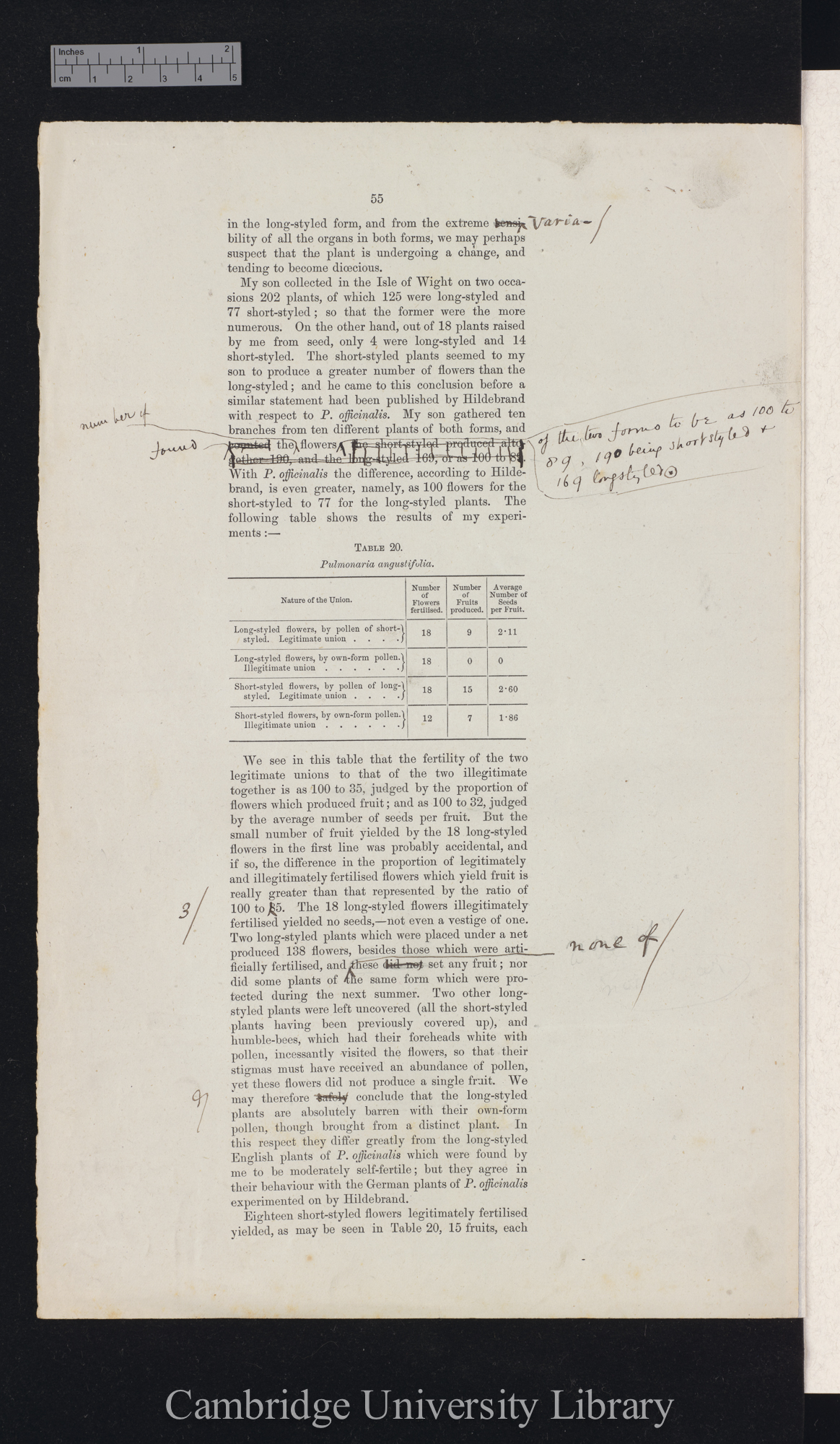 proof sheet of &#39;Forms of flowers&#39; p 55 [published pp 106-108]