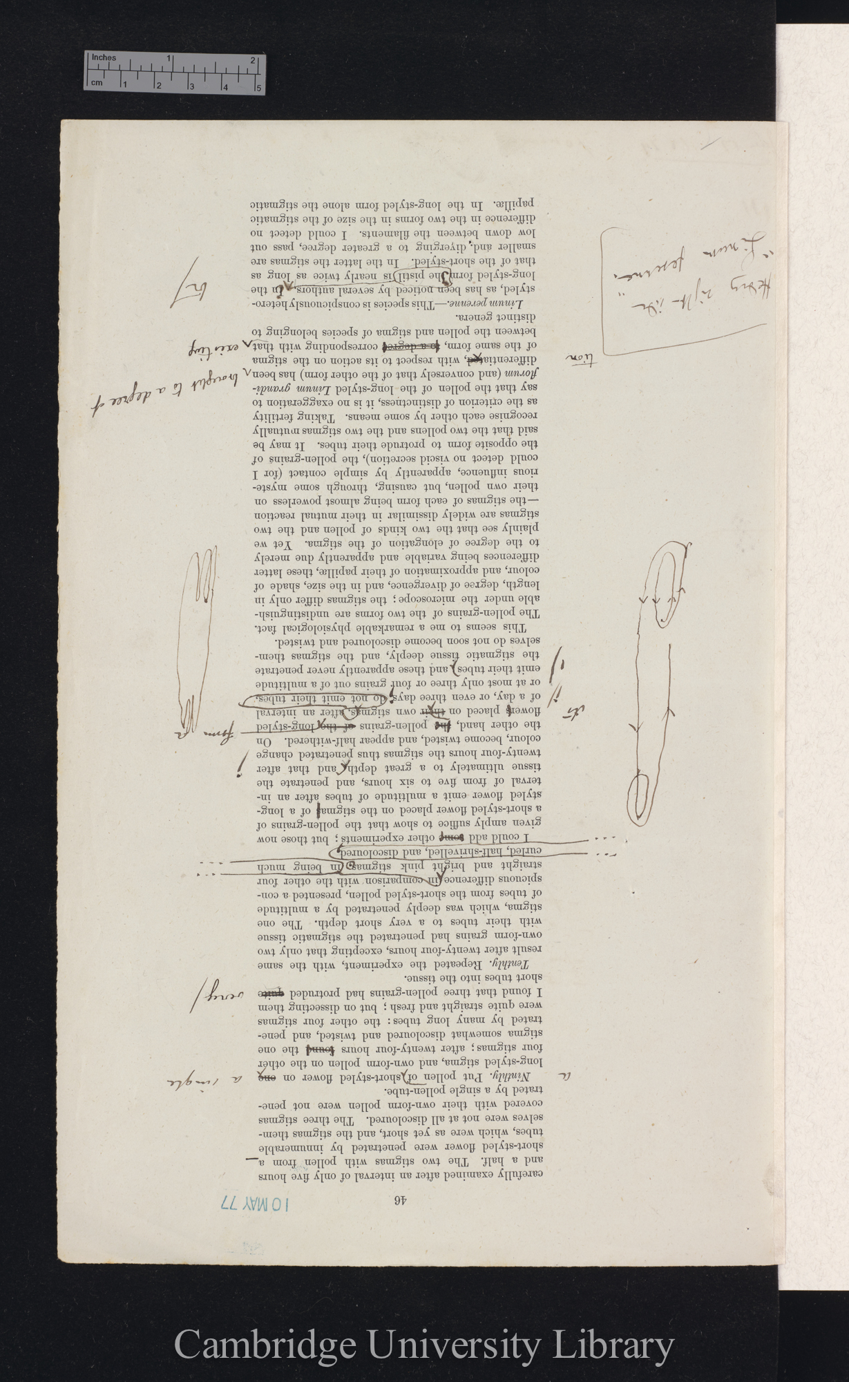 proof sheet of &#39;Forms of flowers&#39; p 46 [published pp 88-90]