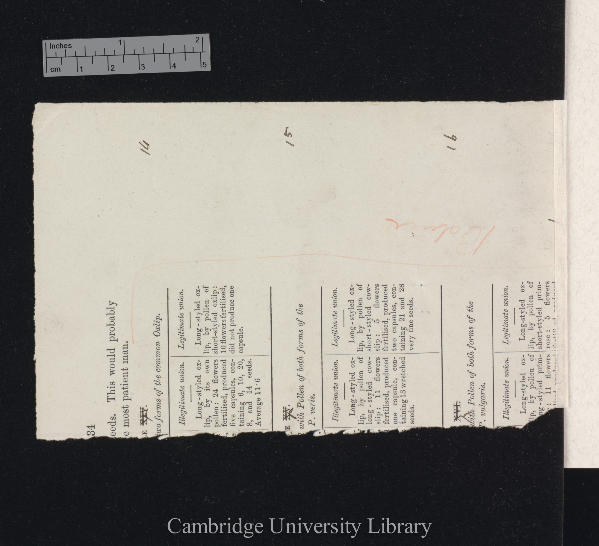 proof sheet of &#39;Forms of flowers&#39; p 34 [top righthand corner] [published pp 65-66]