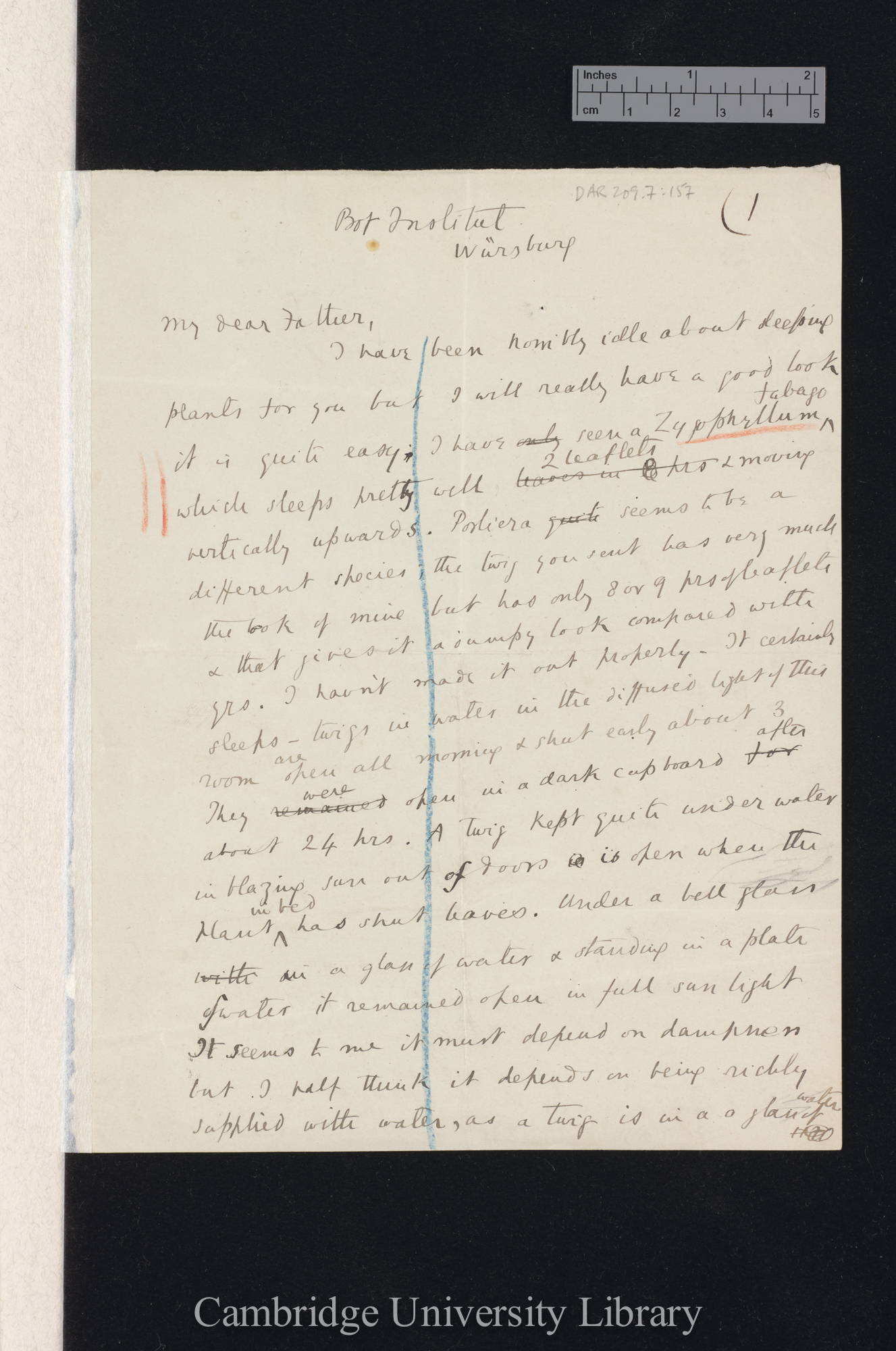 Sir Francis Darwin to Charles Robert Darwin