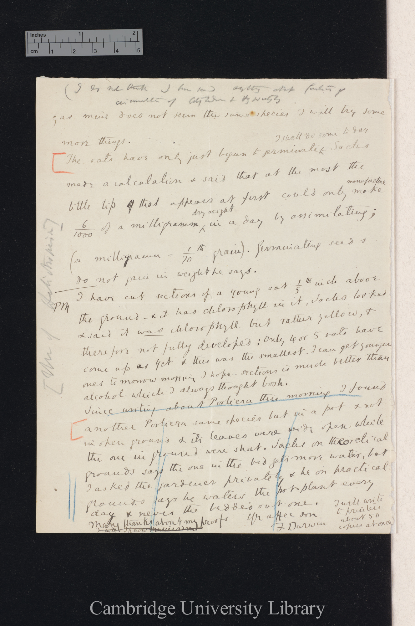 Sir Francis Darwin to Charles Robert Darwin