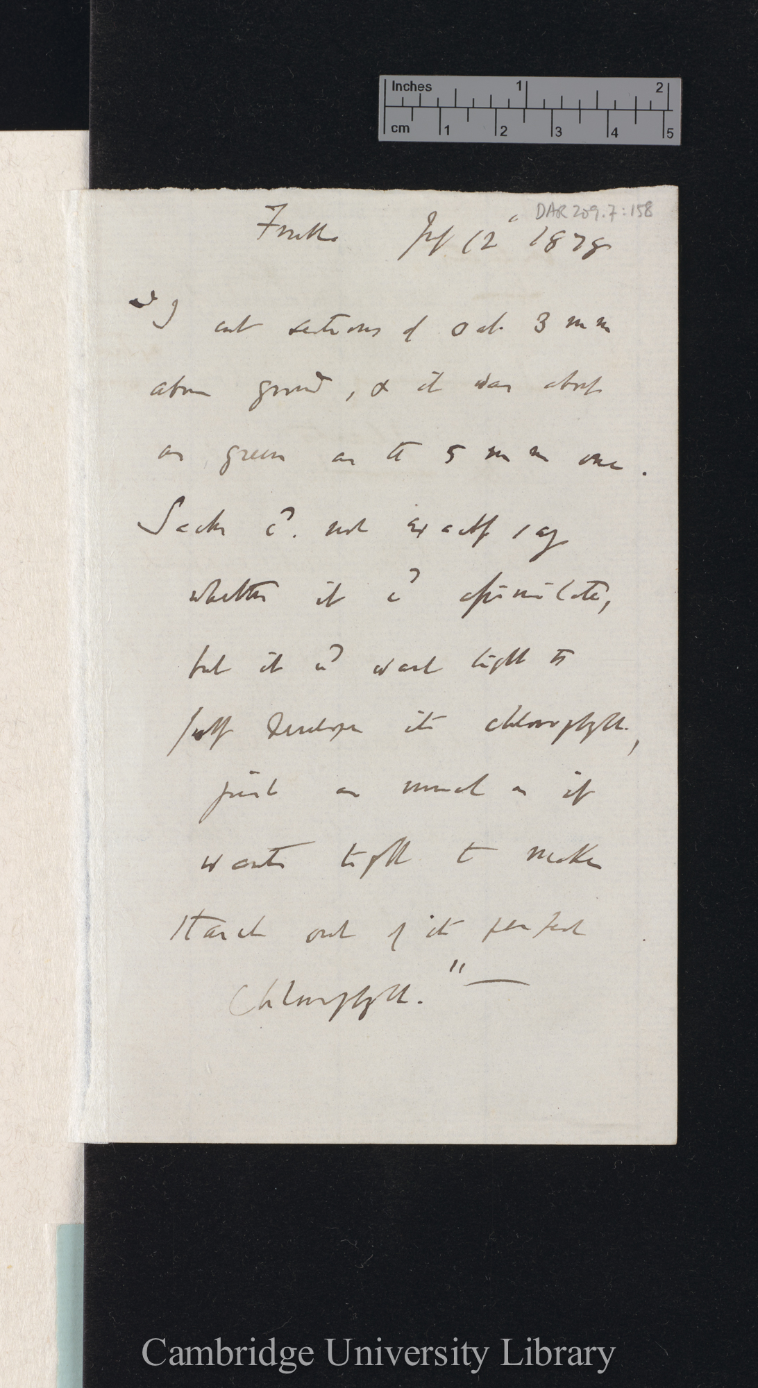 Sir Francis Darwin to Charles Robert Darwin