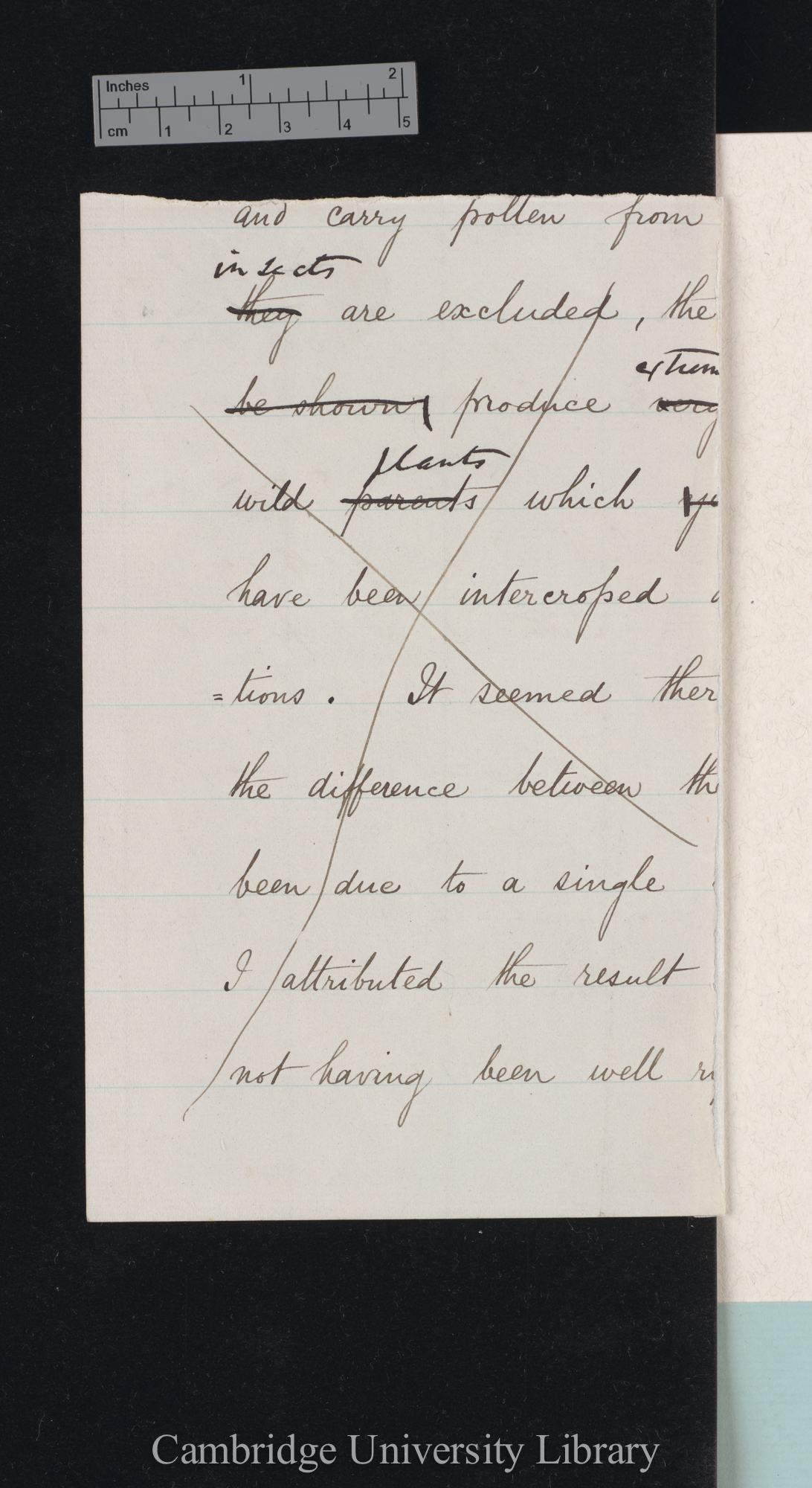 Sir Francis Darwin to Charles Robert Darwin