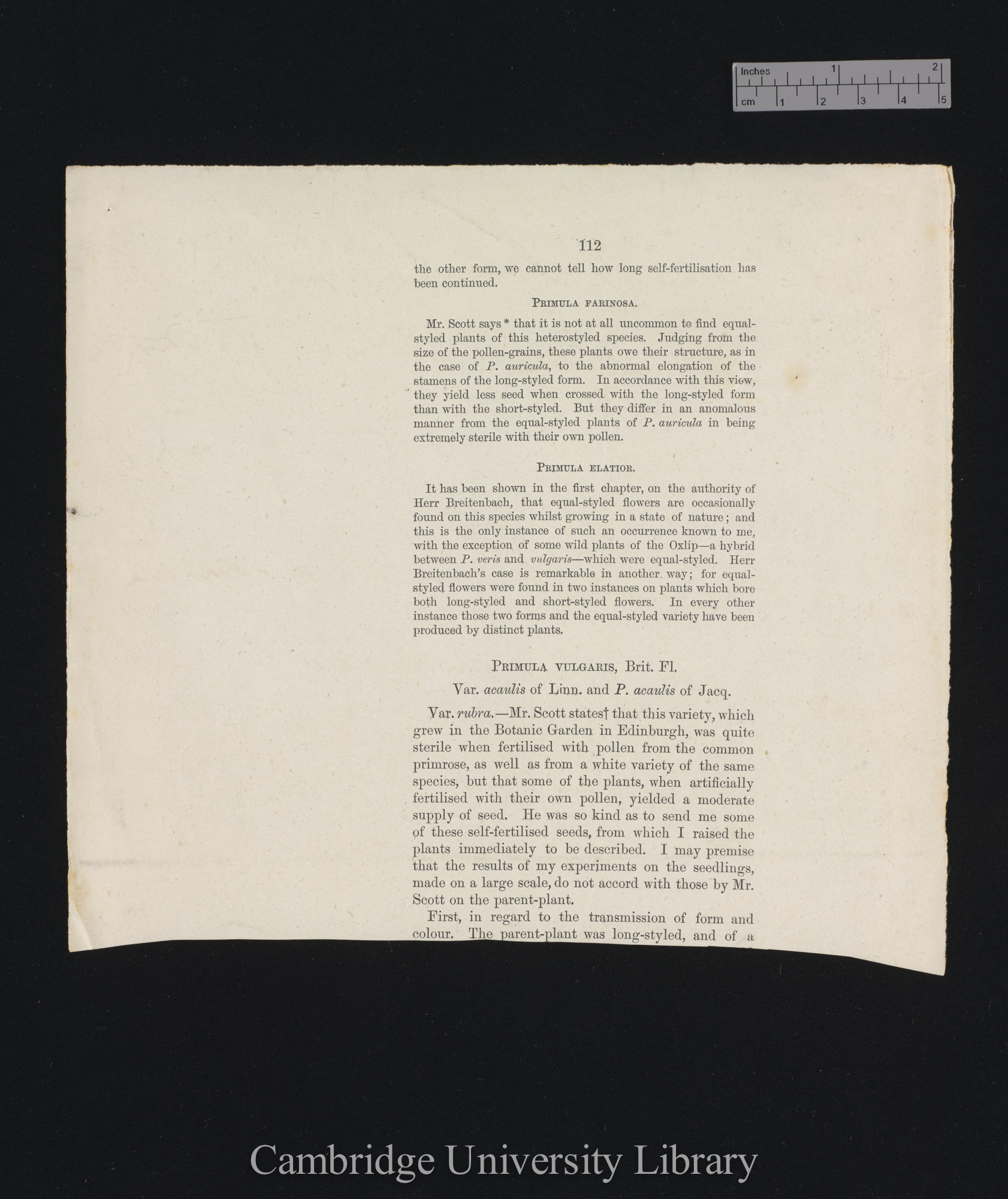 proof sheet of &#39;Forms of flowers&#39; p 112 [bottom two thirds] [published pp 224-225]]