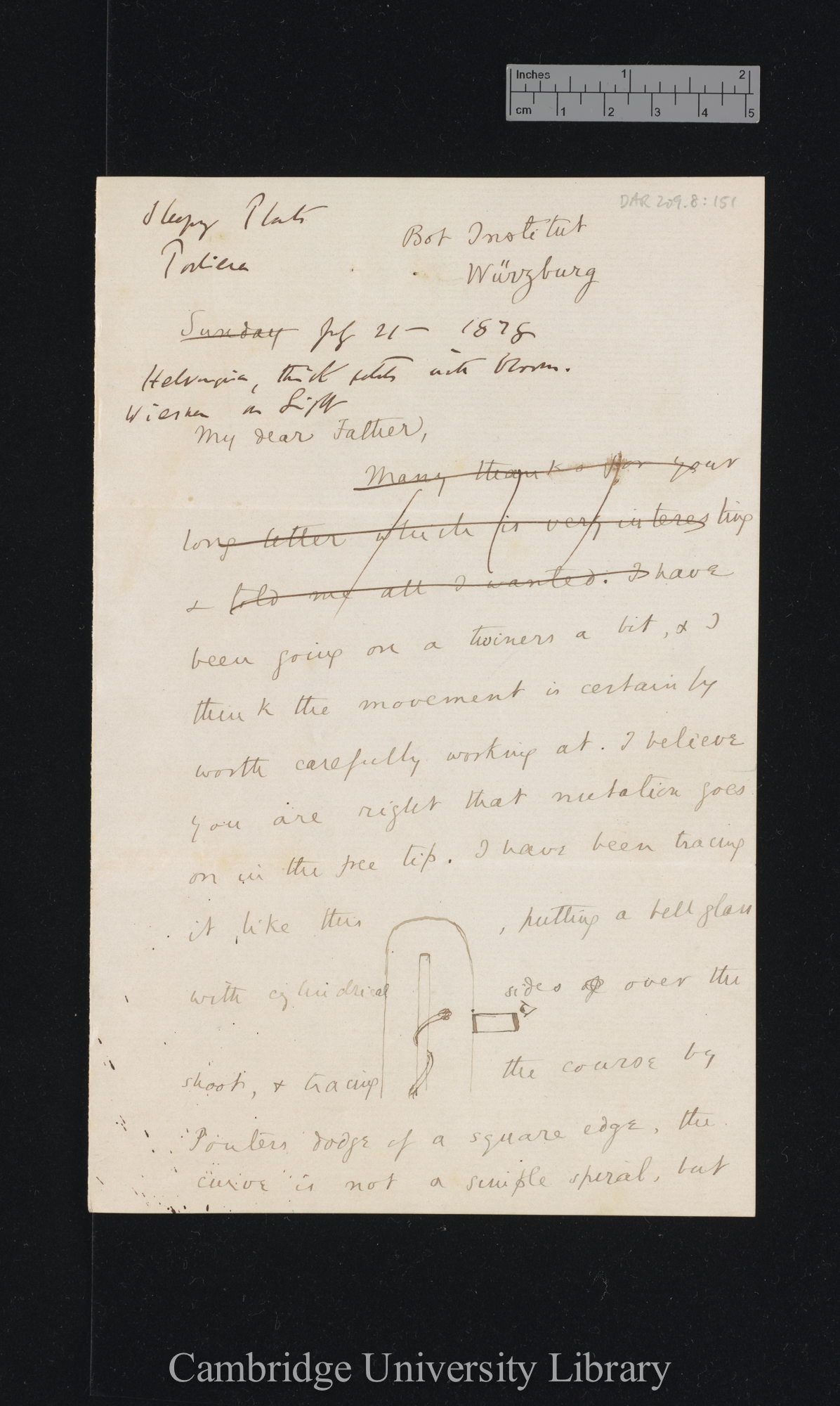 Sir Francis Darwin to Charles Robert Darwin