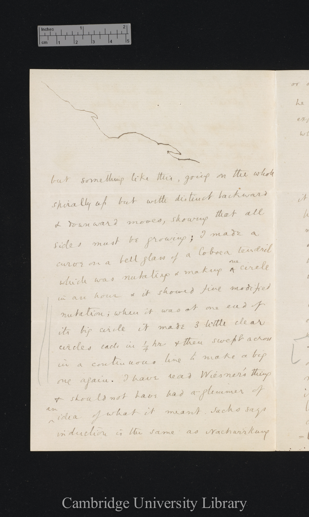 Sir Francis Darwin to Charles Robert Darwin