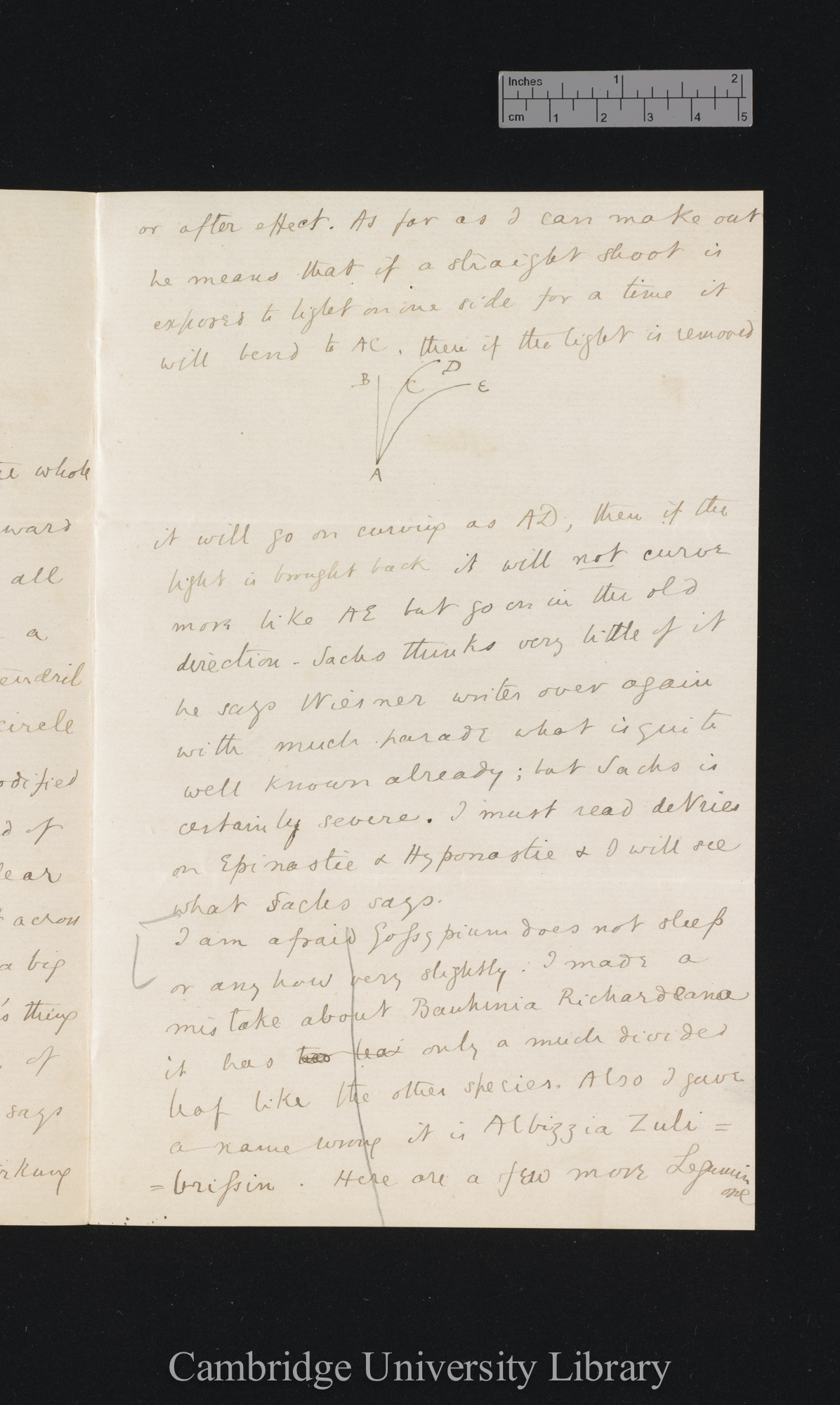 Sir Francis Darwin to Charles Robert Darwin