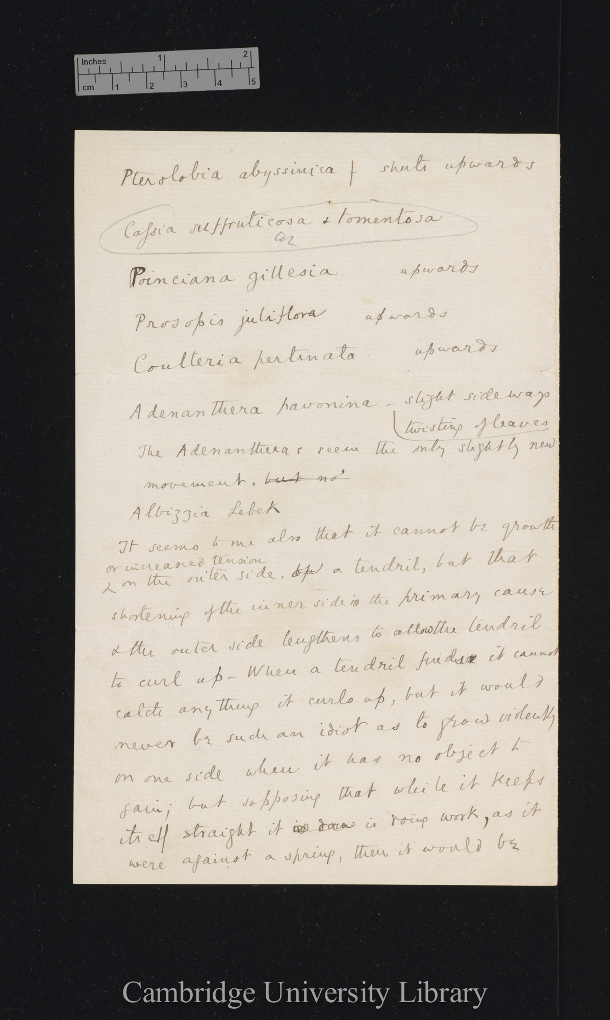 Sir Francis Darwin to Charles Robert Darwin