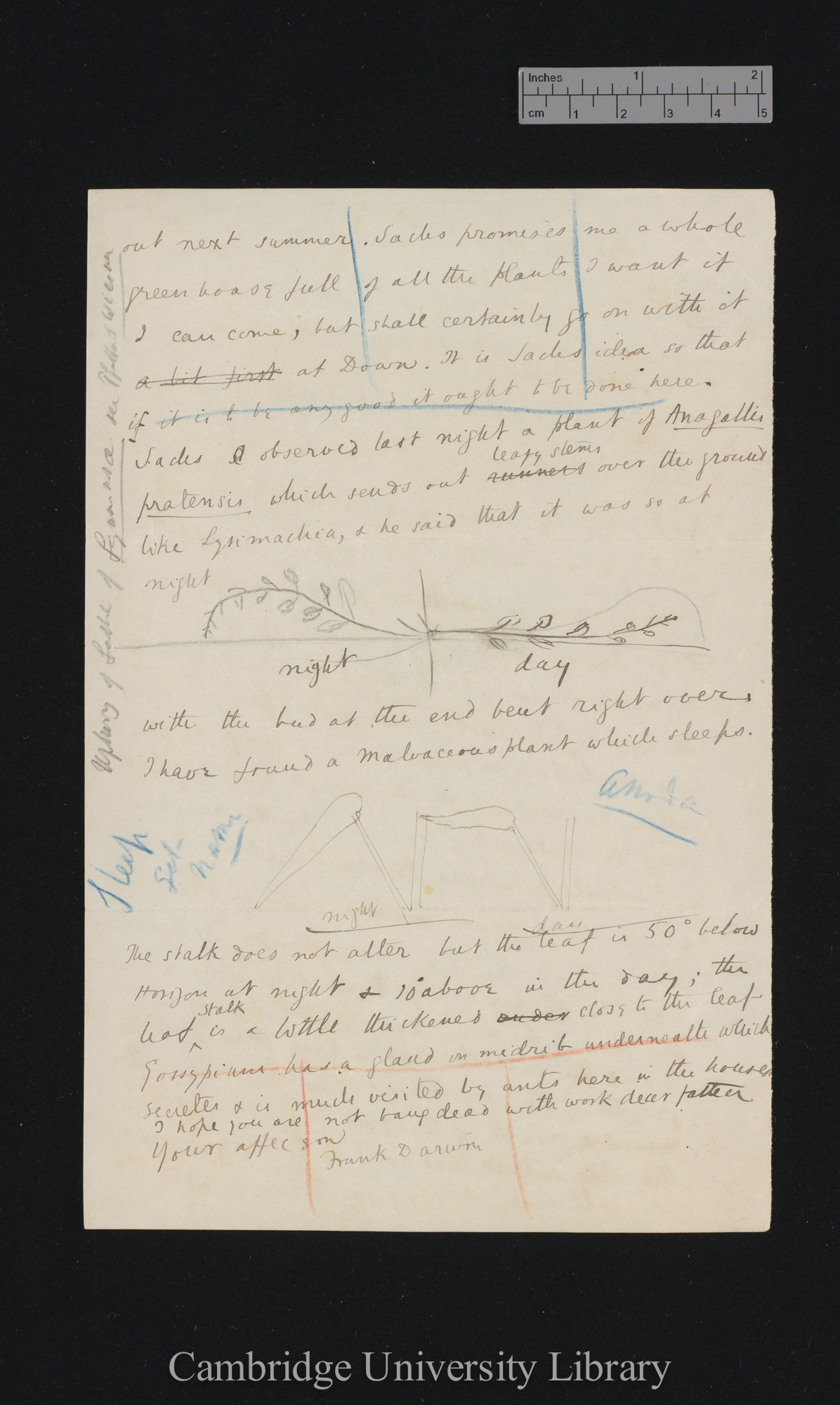 Sir Francis Darwin to Charles Robert Darwin