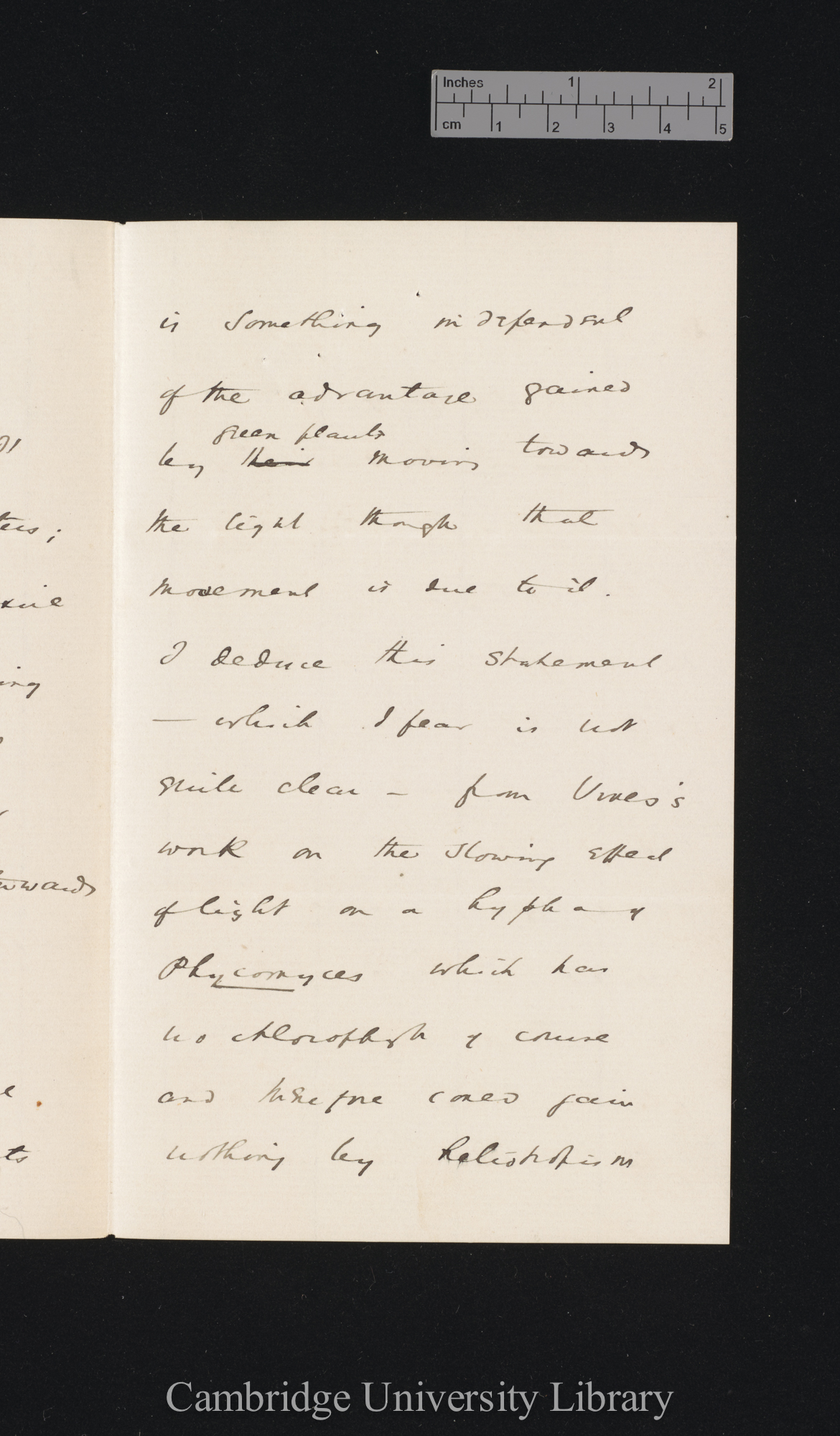 [Sir William Turner Thiselton-Dyer] to Charles Robert Darwin