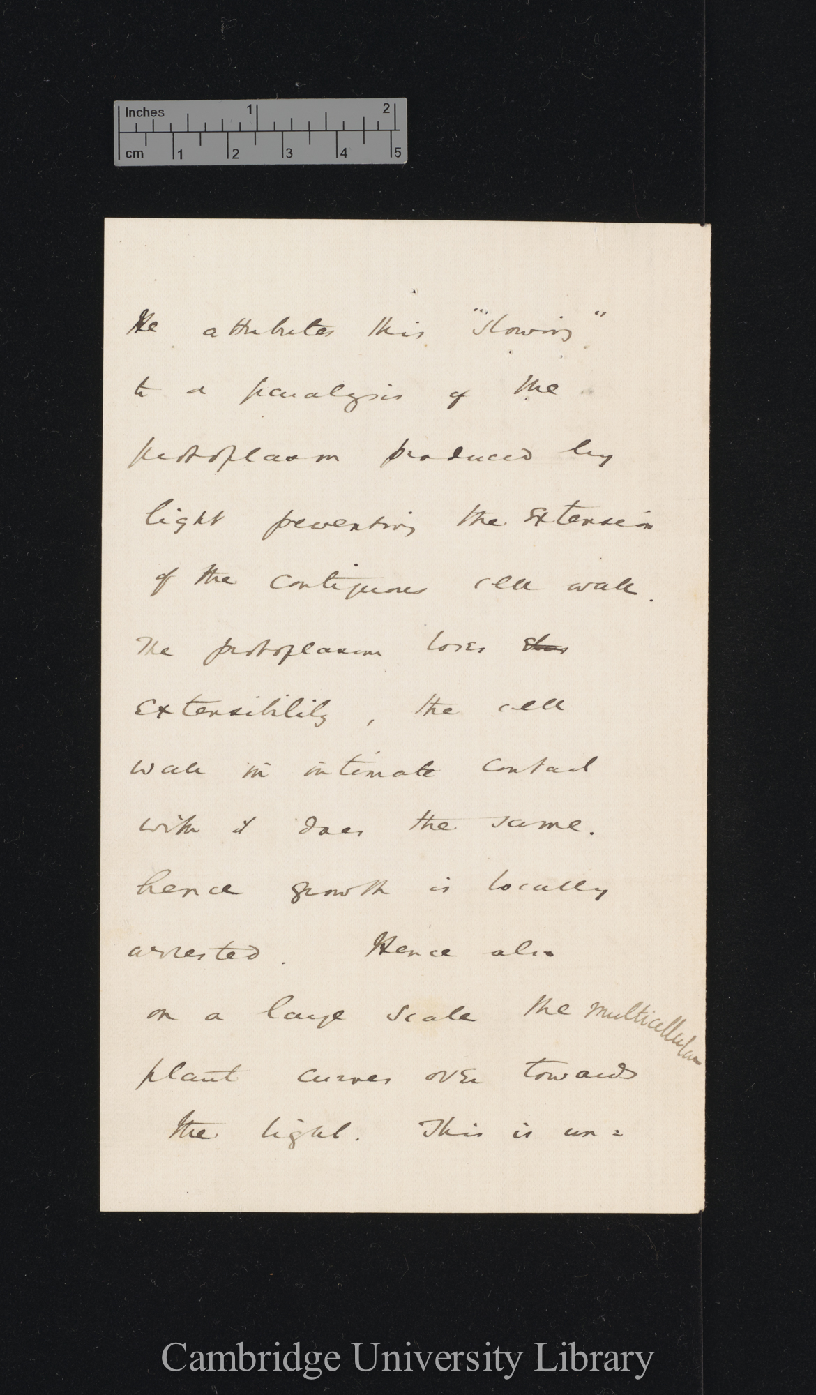 [Sir William Turner Thiselton-Dyer] to Charles Robert Darwin