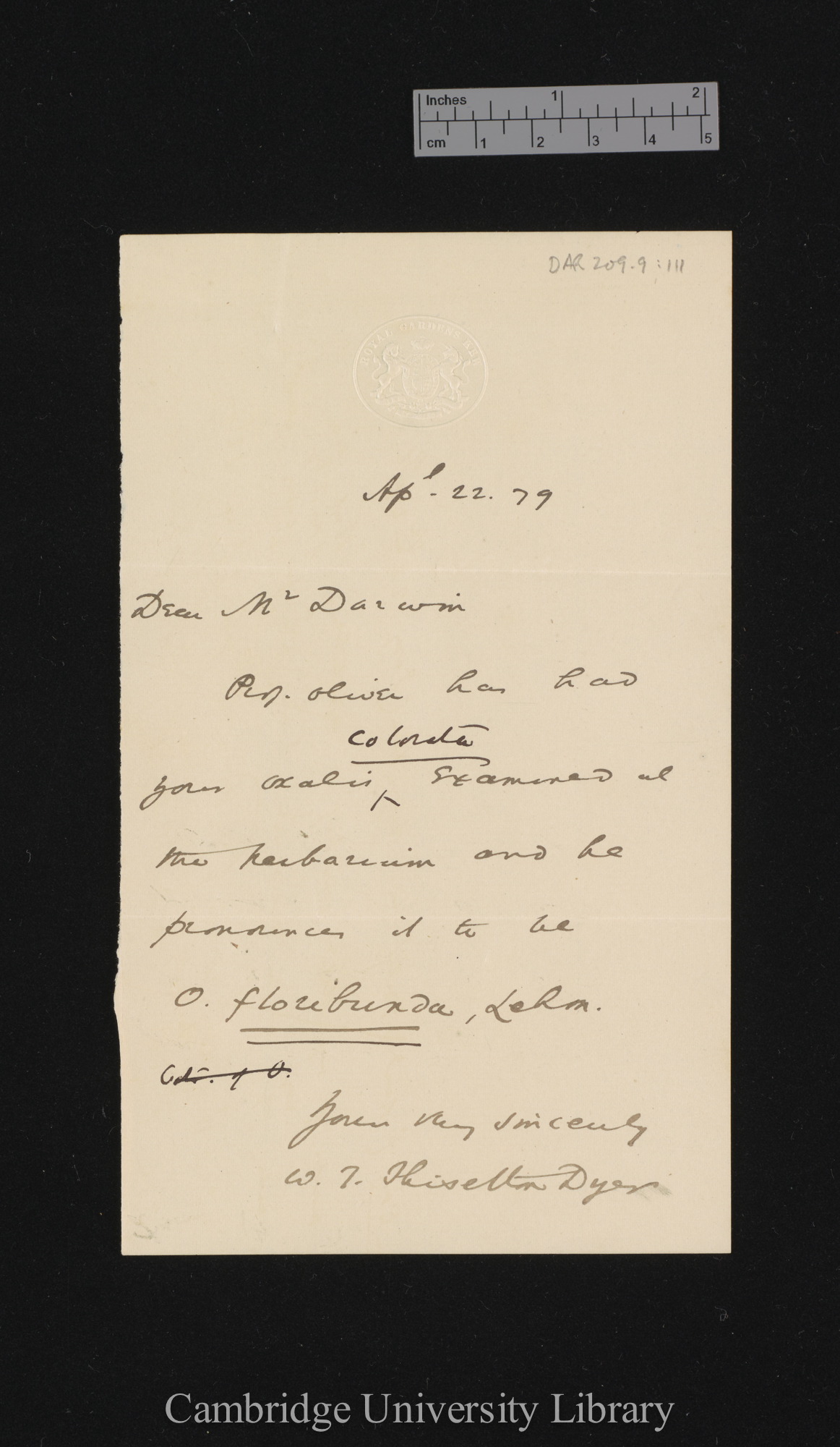 Letter from Sir William Turner Thiselton-Dyer to Charles Robert Darwin; written at Kew