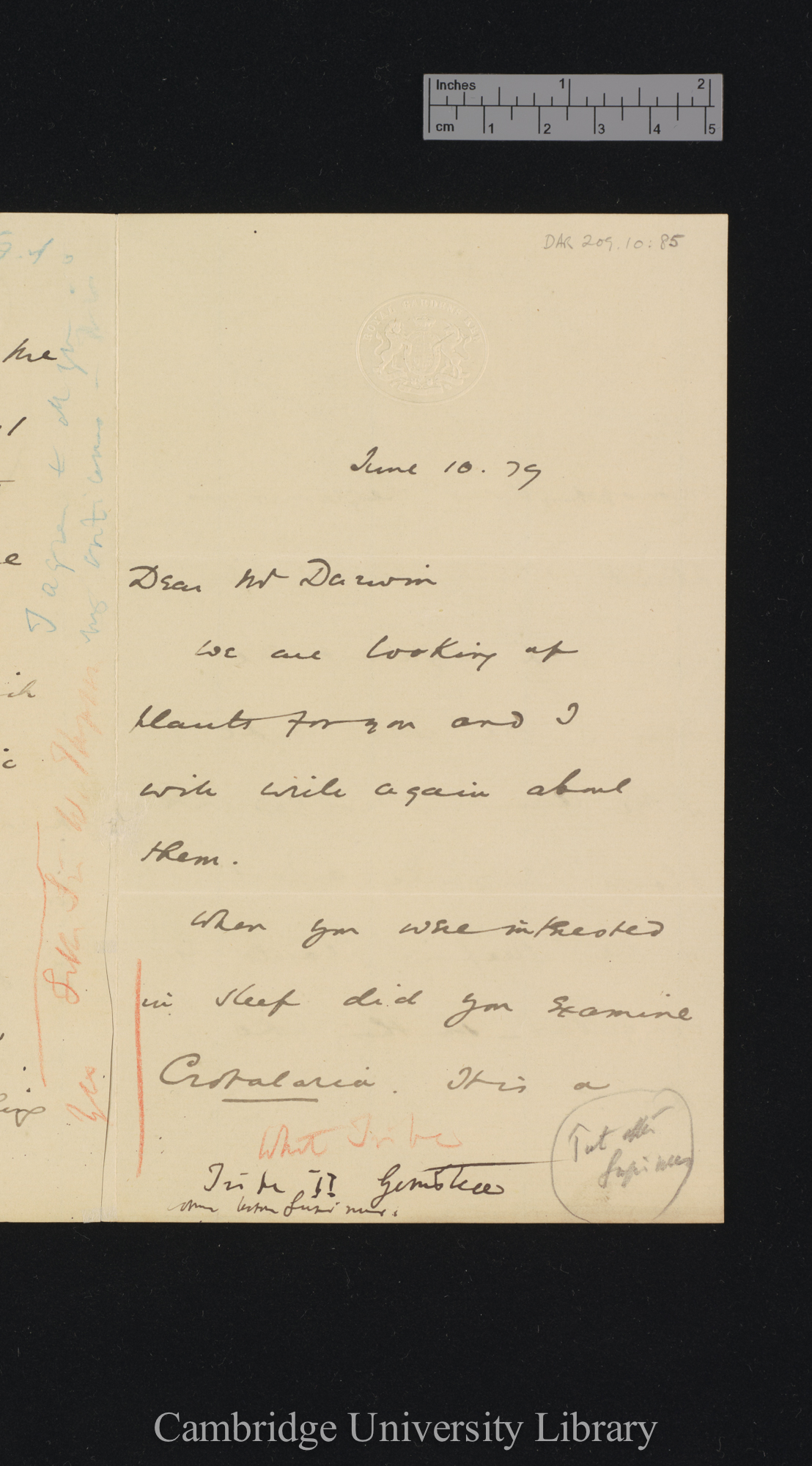 [Sir William Turner Thiselton-Dyer] to Charles Robert Darwin