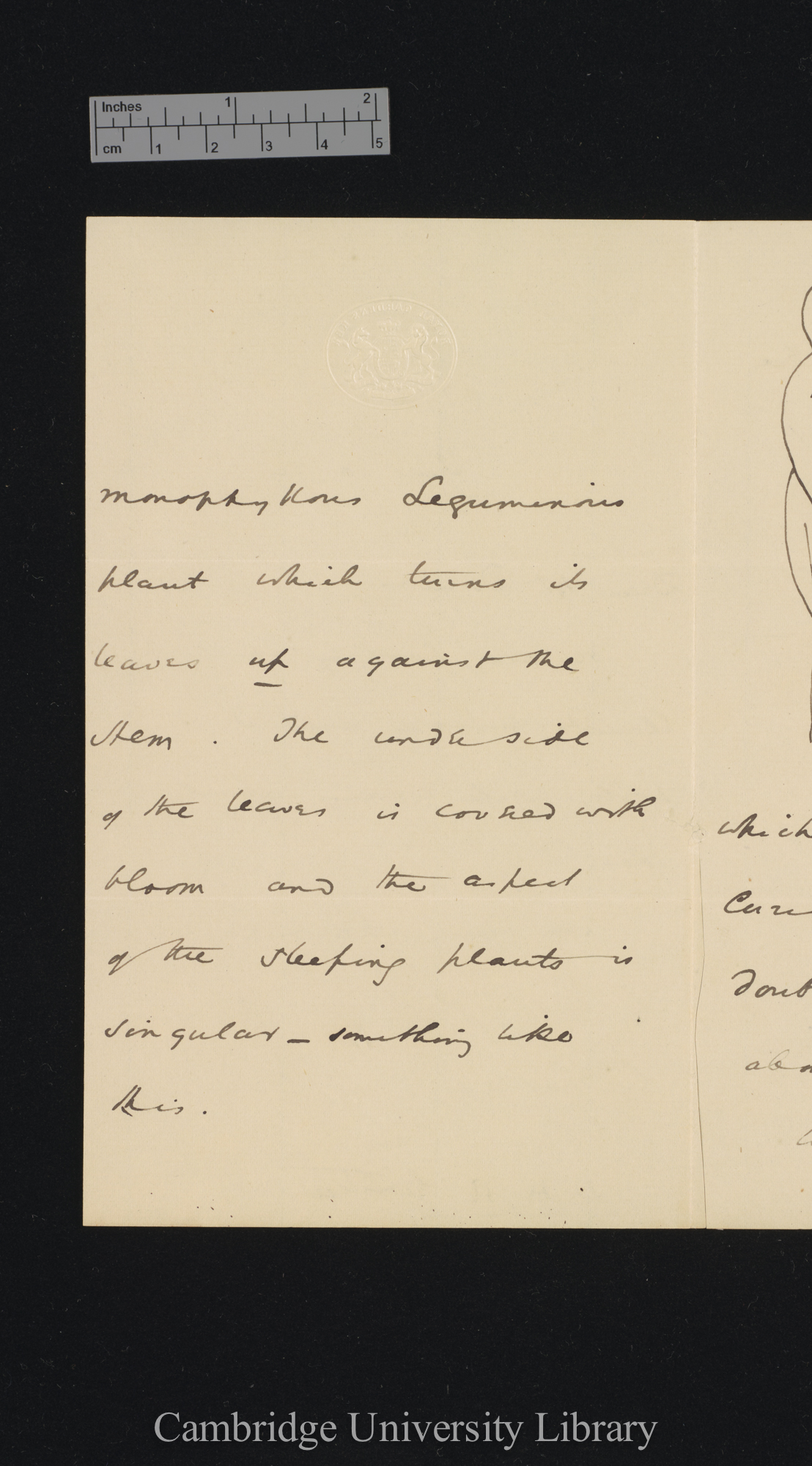 [Sir William Turner Thiselton-Dyer] to Charles Robert Darwin