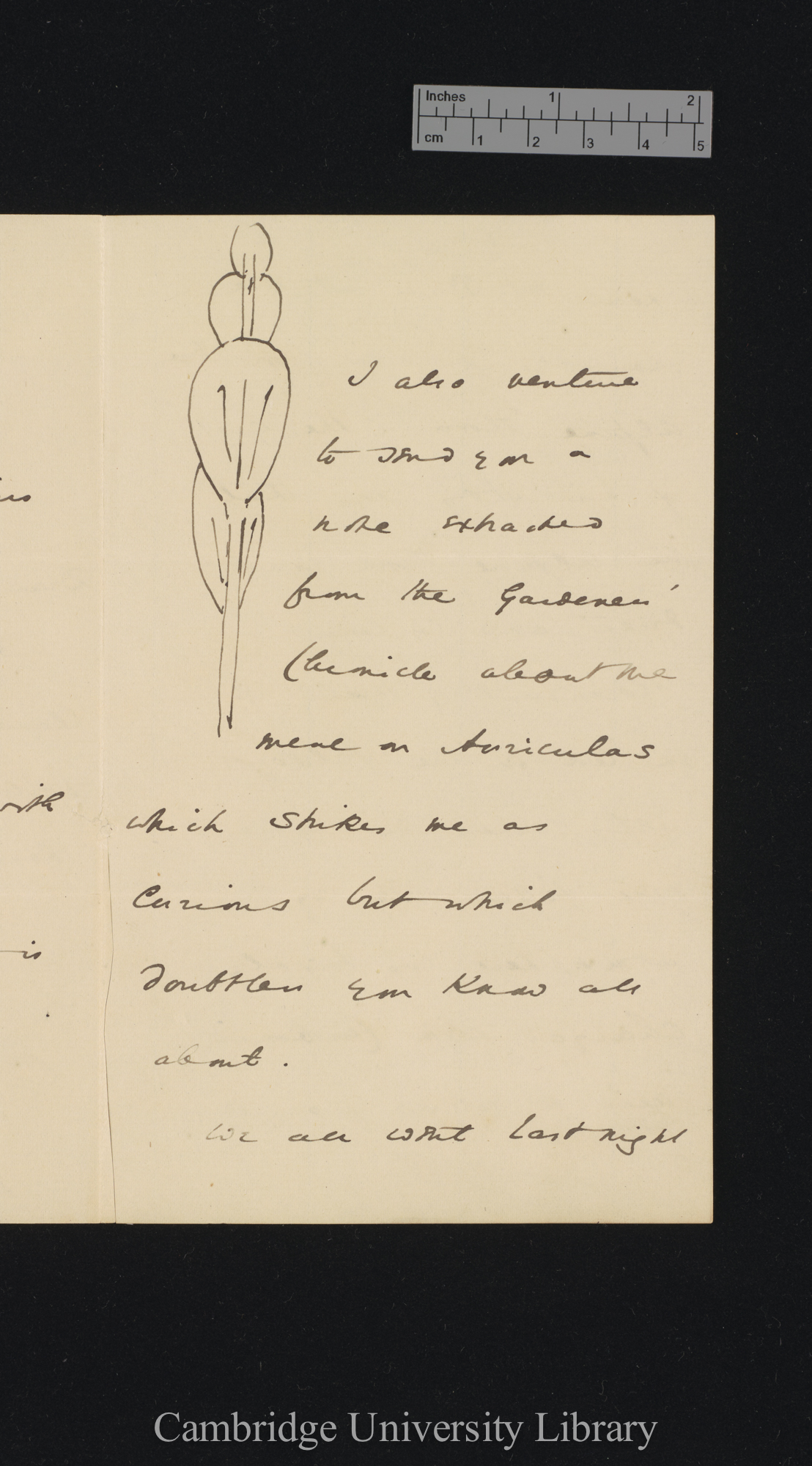 [Sir William Turner Thiselton-Dyer] to Charles Robert Darwin