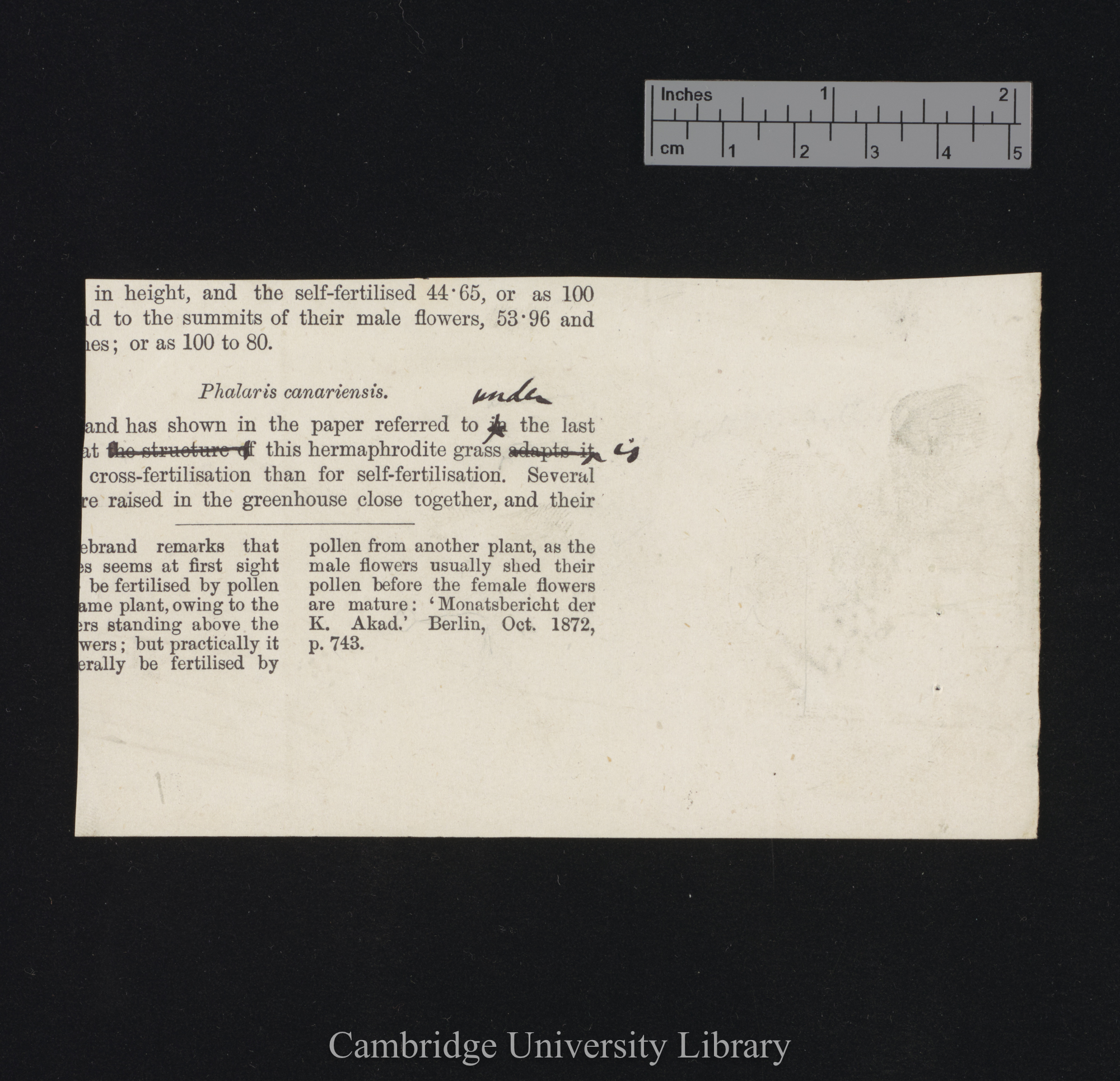 proof sheet of &#39;Fertilisation&#39; p [?] [bottom righthand quarter] [published 233-235]