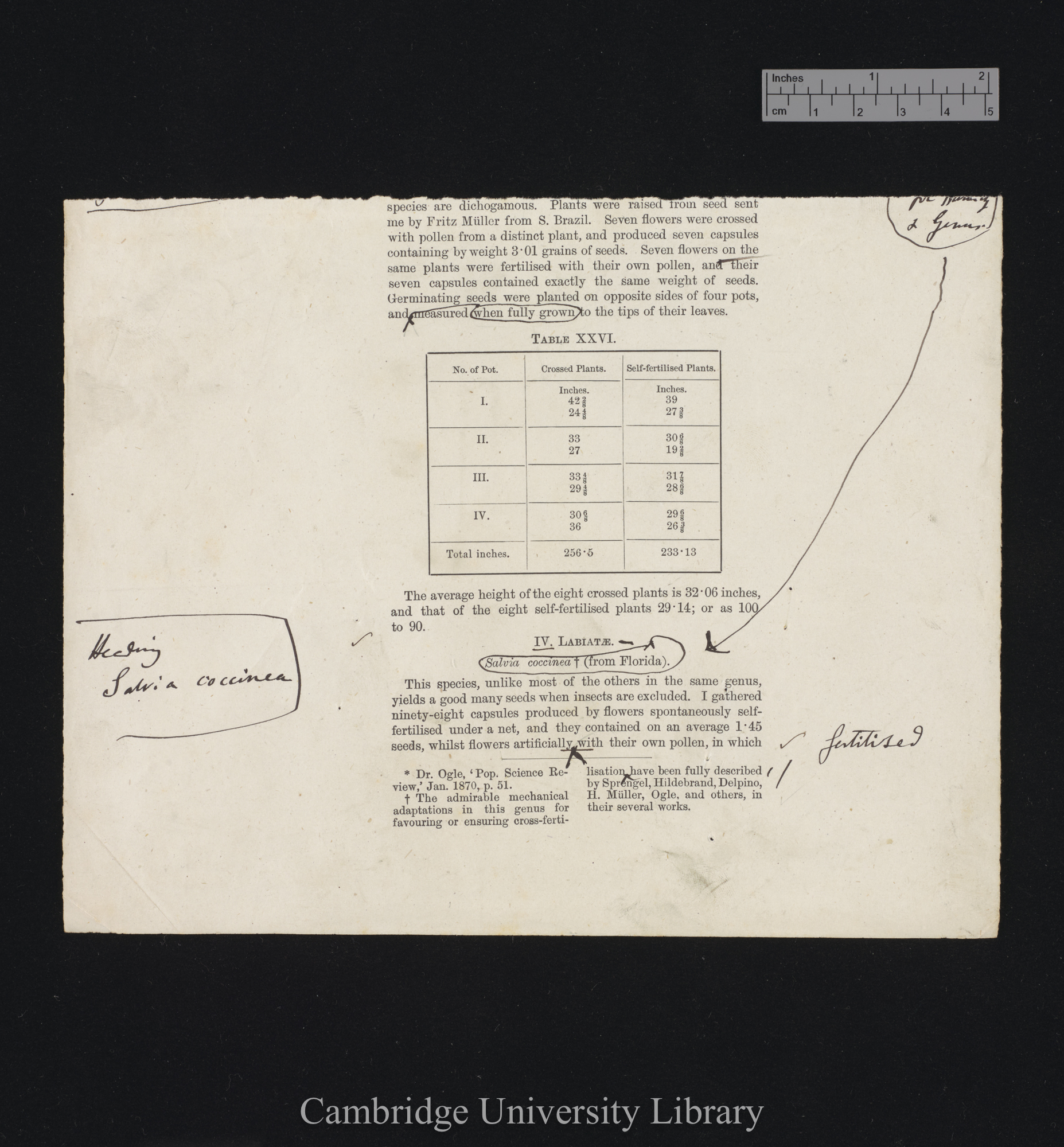 proof sheet of &#39;Fertilisation&#39; p 46 [bottom half] [published pp 92-93]