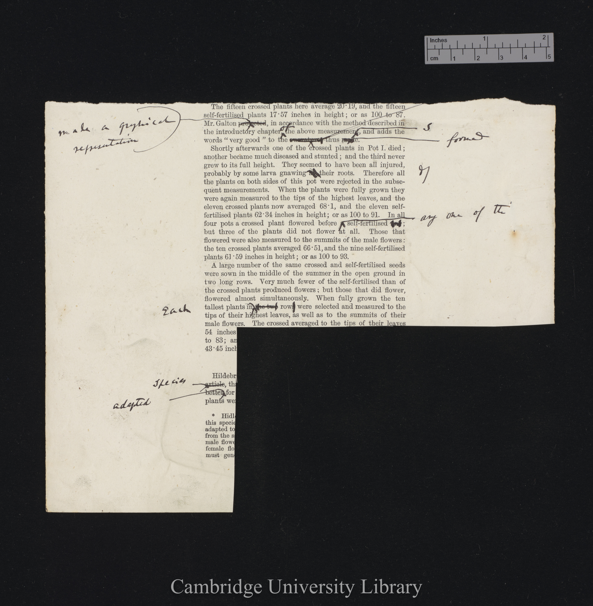 proof sheet of &#39;Fertilisation&#39; p [?] [bottom half, part excised] [published pp 233-235]