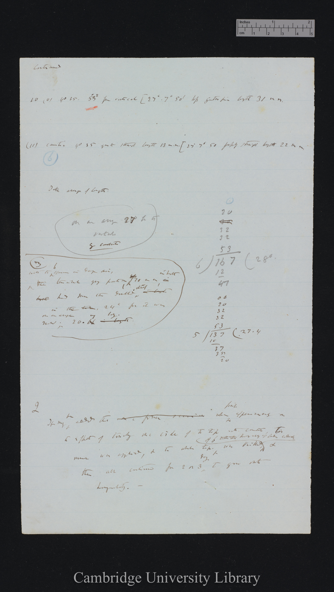 Phaseolus [application of caustic]