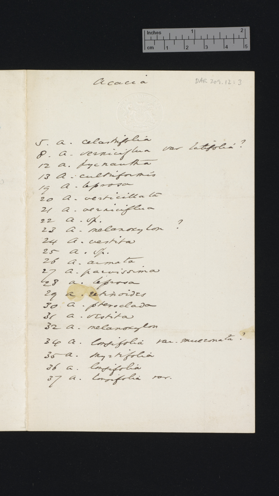 [Sir William Turner Thiselton-Dyer] to Charles Robert Darwin