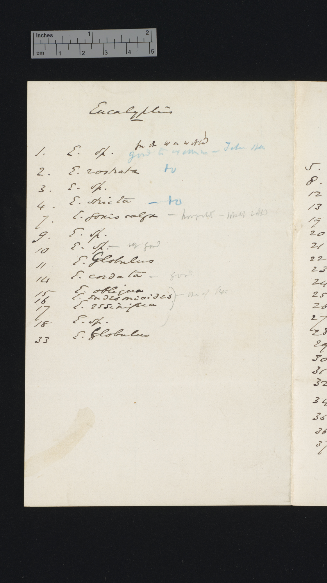 [Sir William Turner Thiselton-Dyer] to Charles Robert Darwin