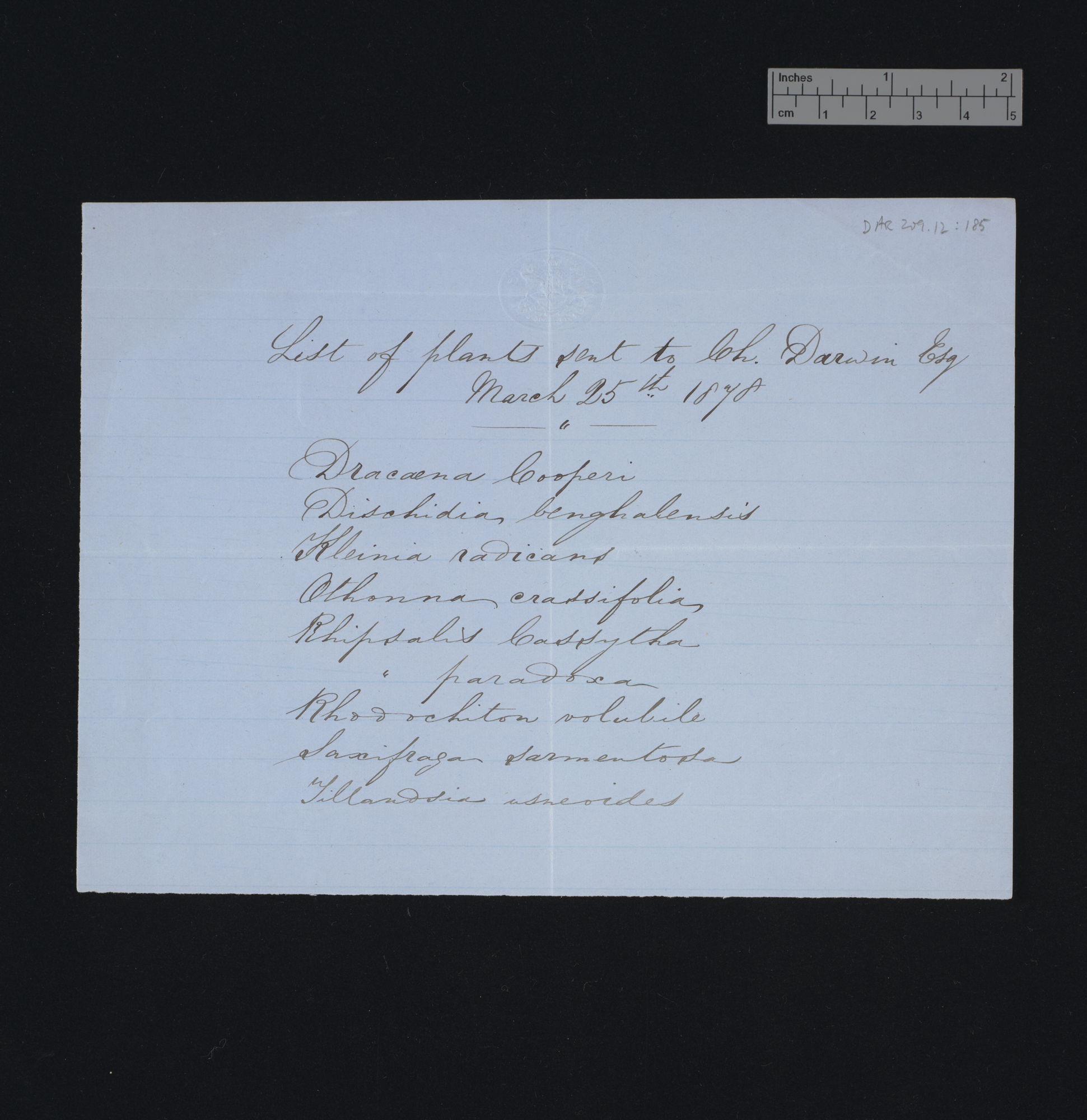 Letter from [Richard Irwin Lynch] to Charles Robert Darwin; written at [place unstated]