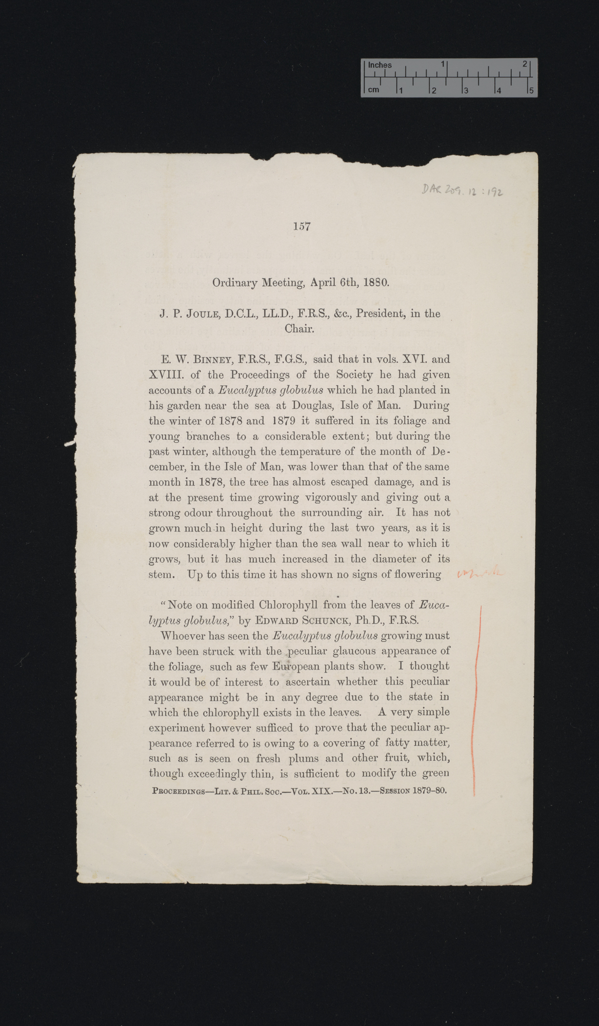 Note on modified chlorophyll from the leaves of Eucalyptus globulus &#39;[source unidentified]&#39;: 157