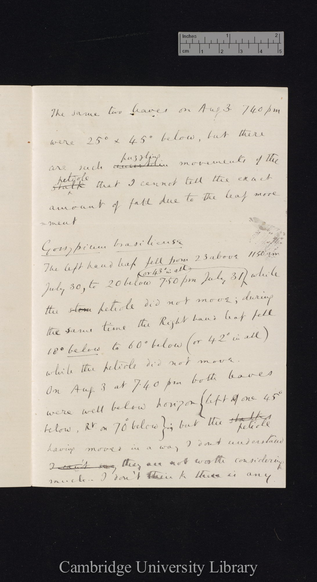 Sir Francis Darwin to Charles Robert Darwin