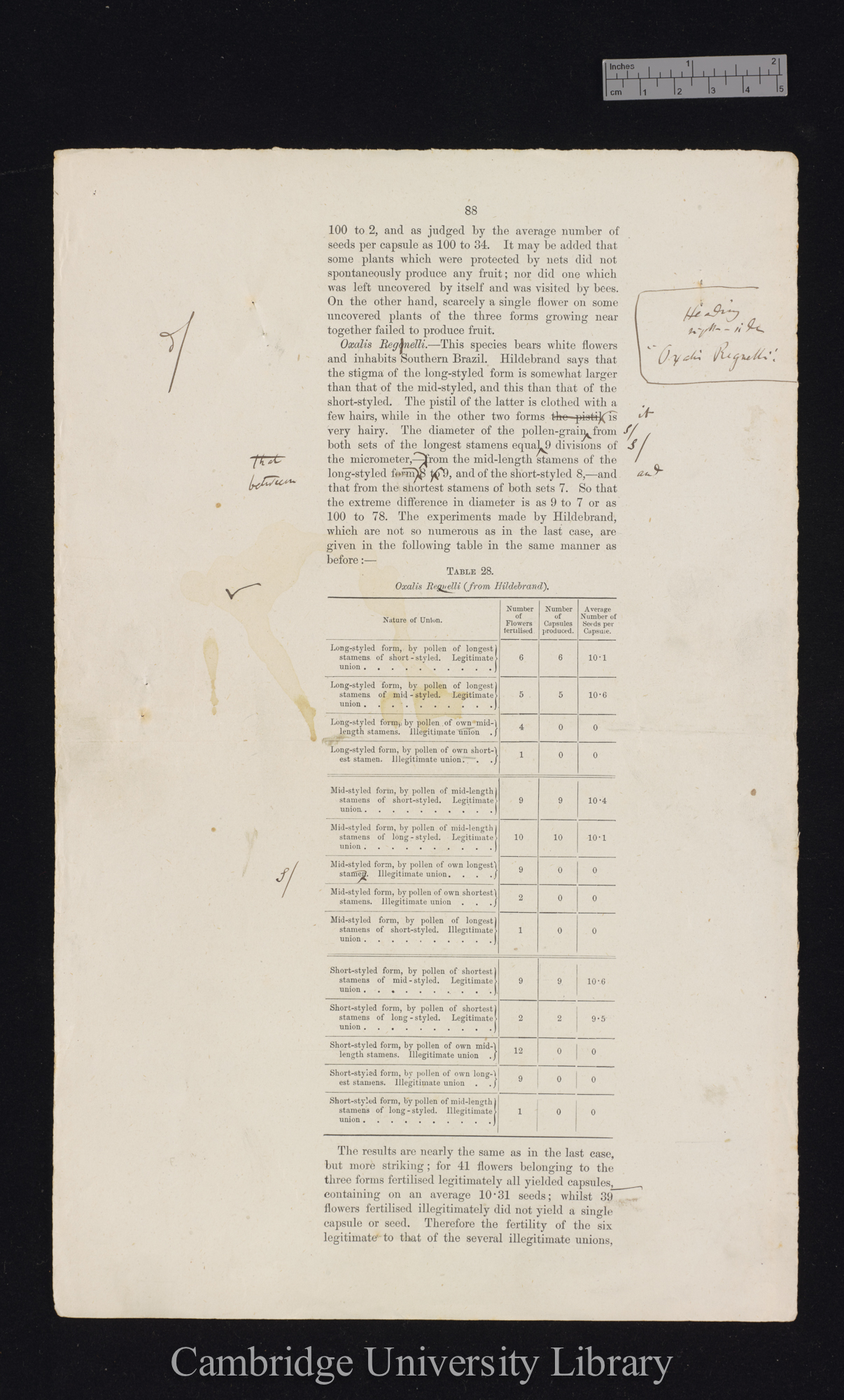 proof sheet of &#39;Forms of flowers&#39; p 88 [published 173-175]