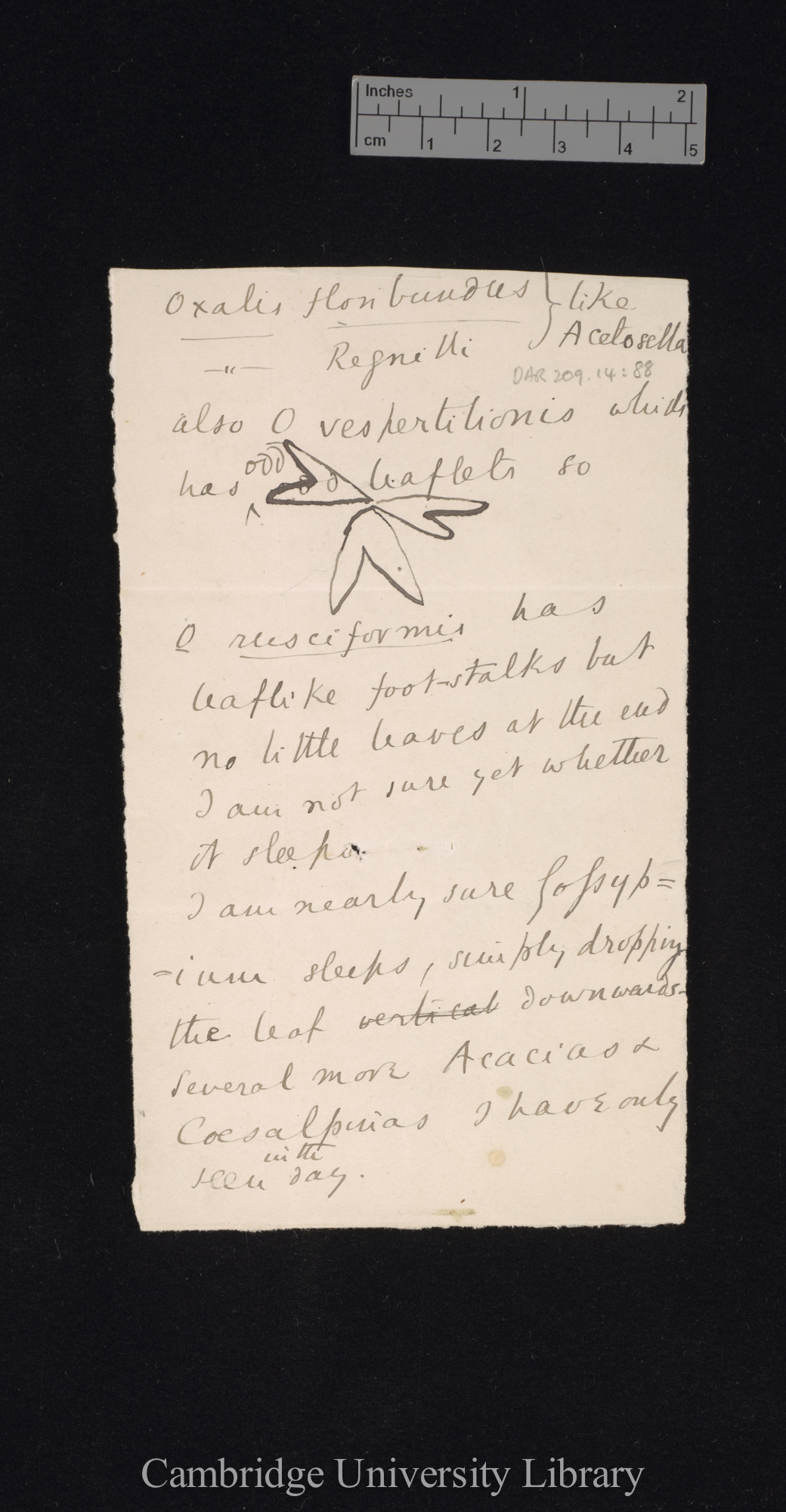 Sir Francis Darwin to Charles Robert Darwin