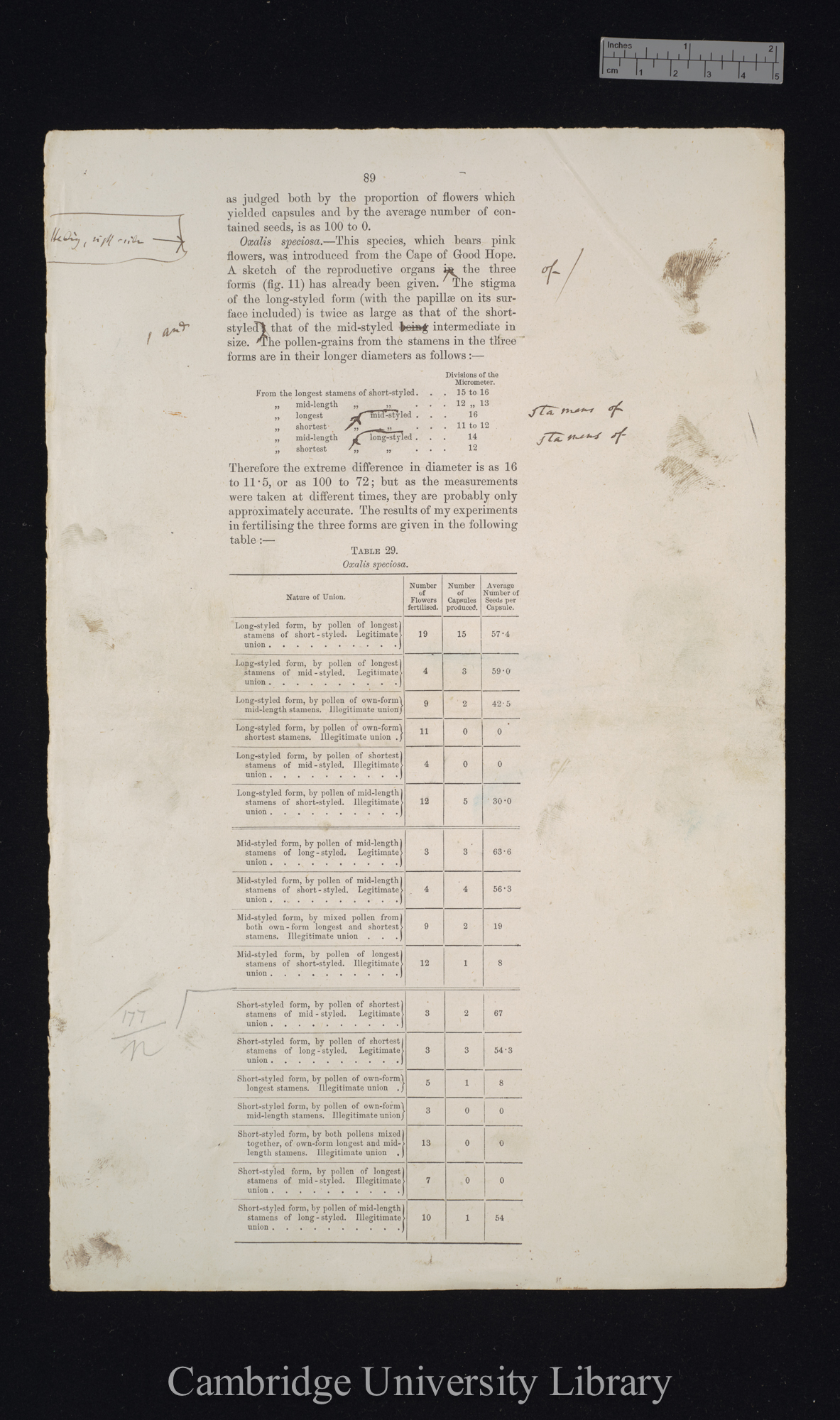 proof sheet of &#39;Forms of flowers&#39; p 89 [published pp 175-177]