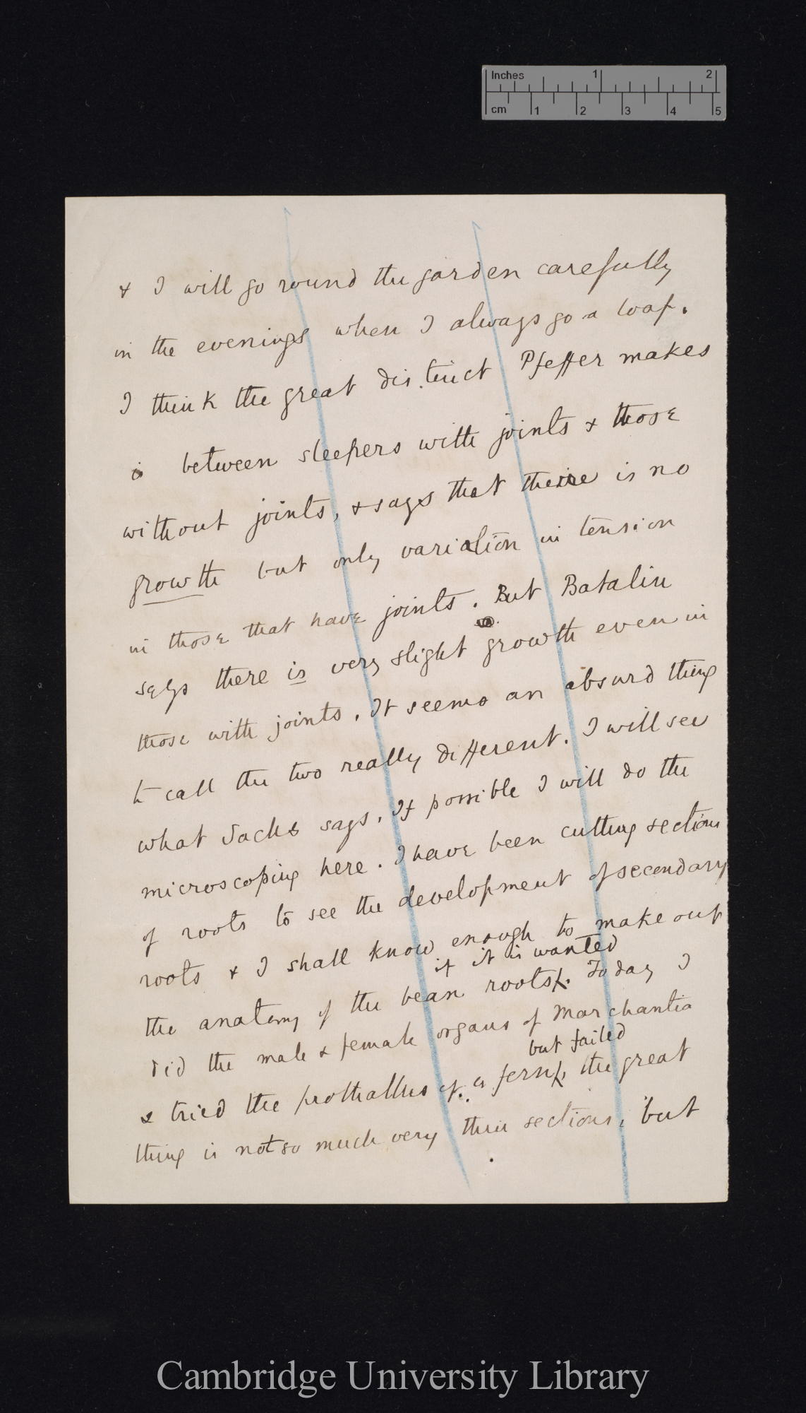 Sir Francis Darwin to Charles Robert Darwin