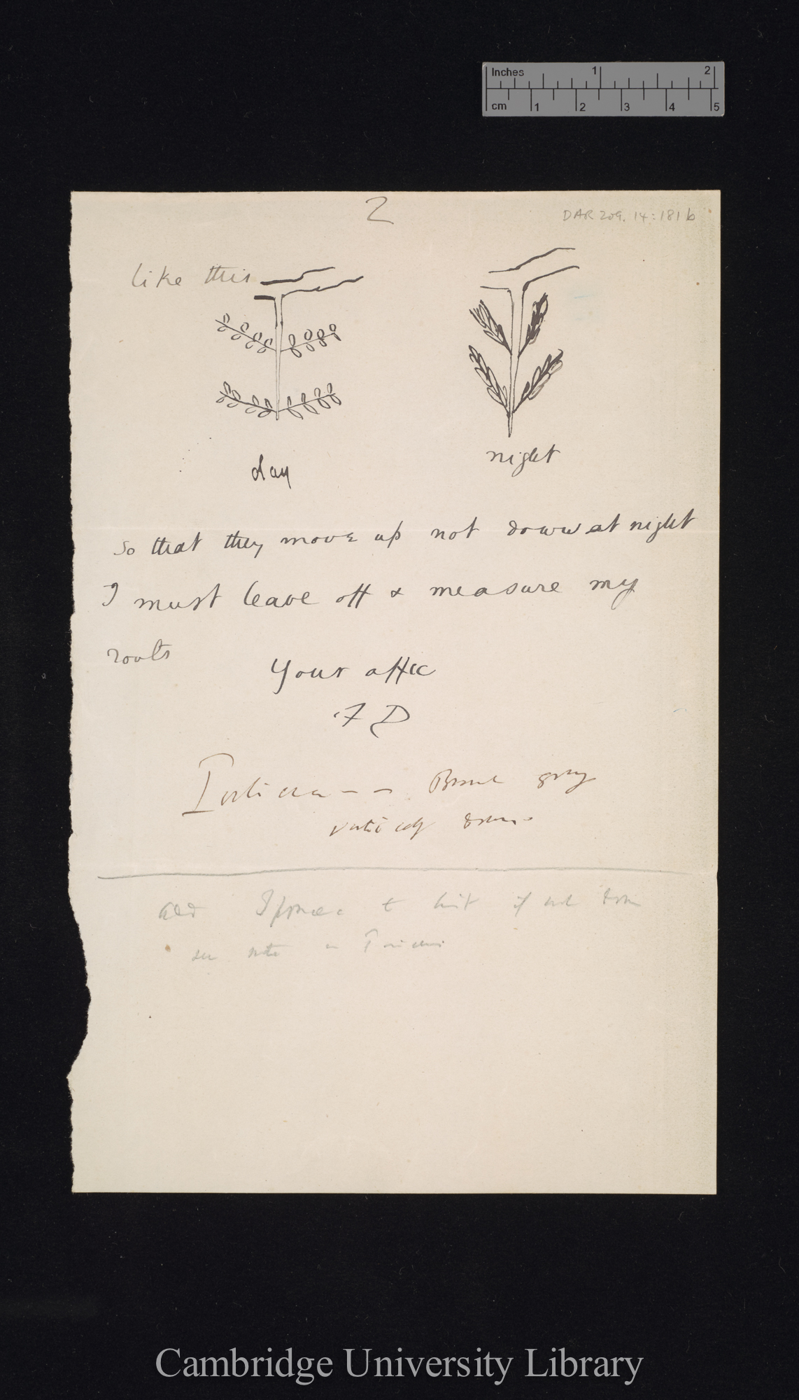 Sir Francis Darwin to Charles Robert Darwin